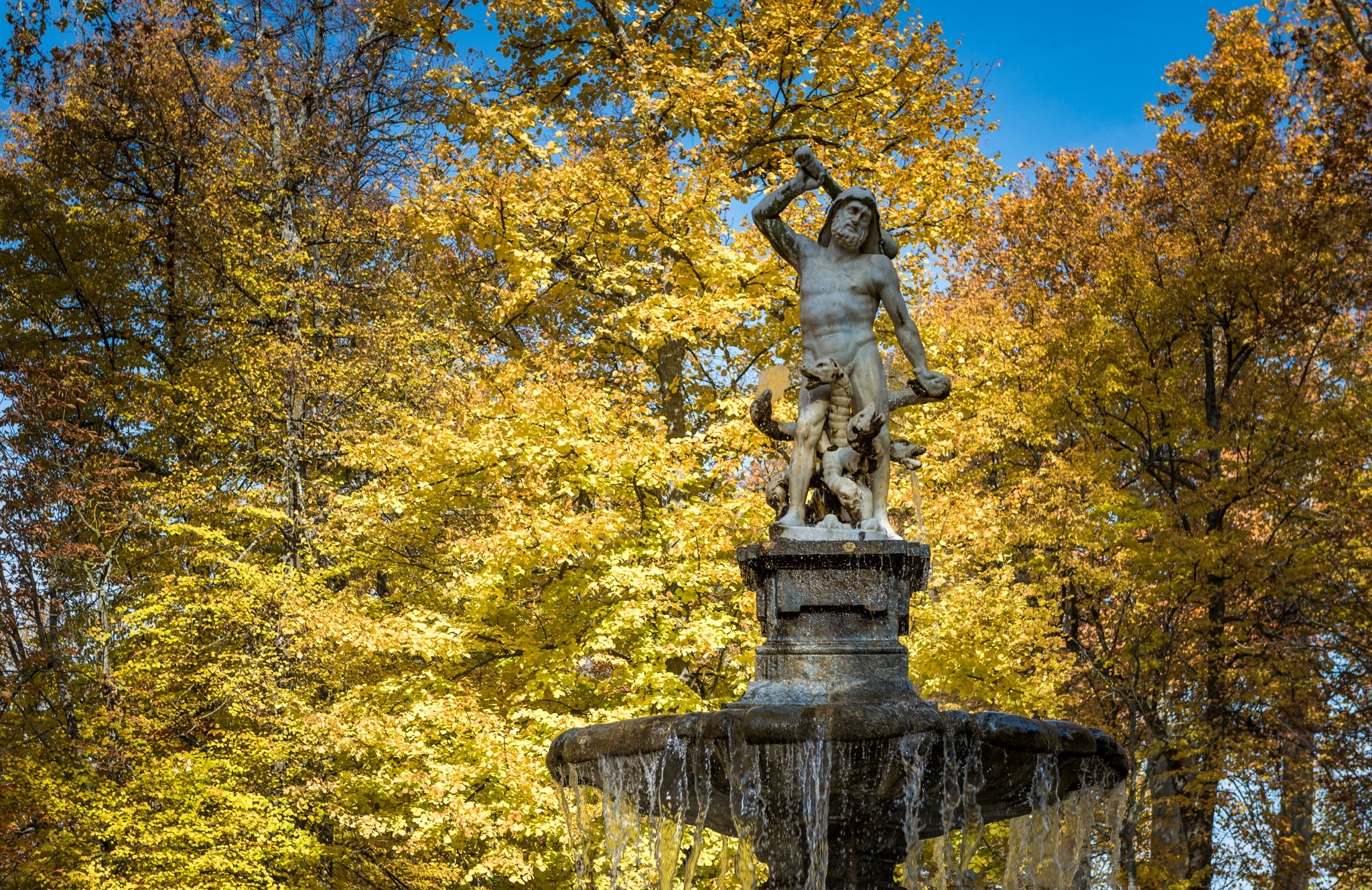 Jardín de la Isla, por Ignacio Izquierdo