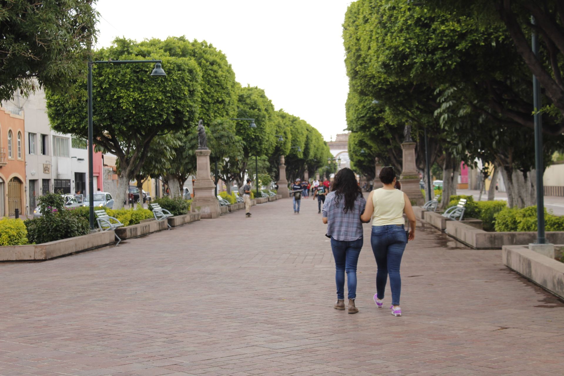 Calzada de los Héroes, por Sebastian Muñoz