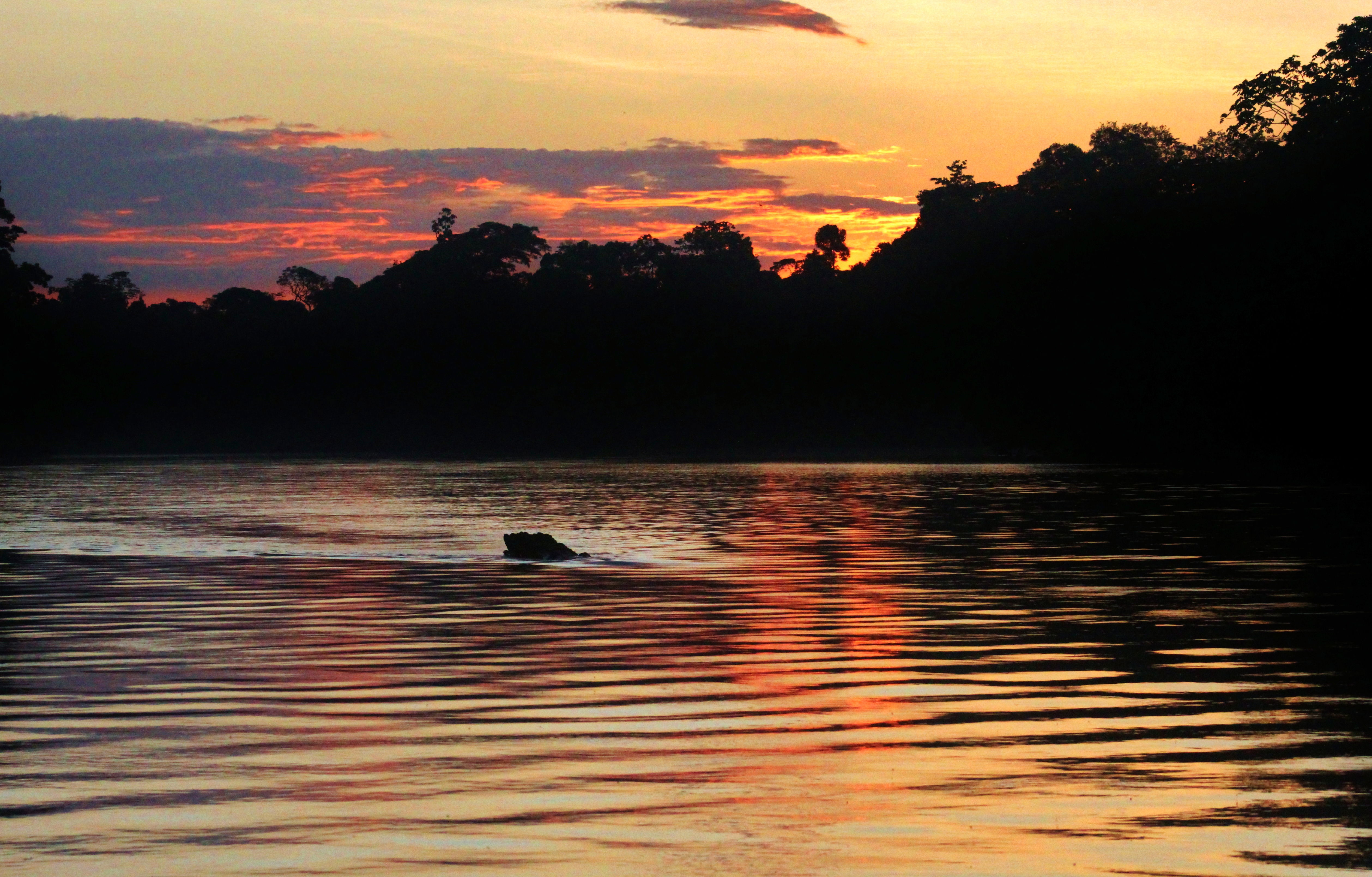 Yasuni, por Esteban Armendariz Cardenas