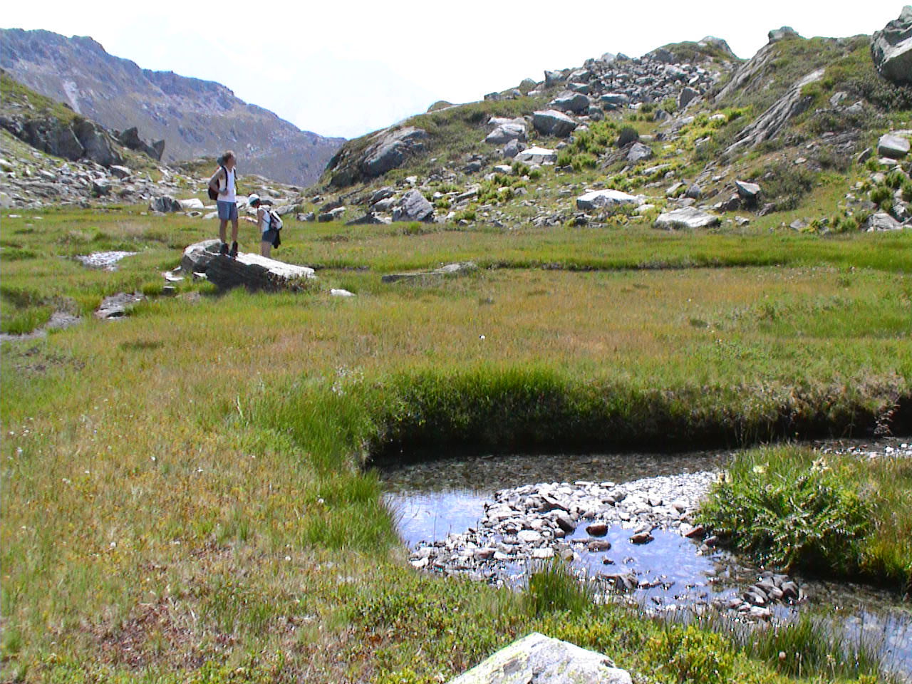 Bosque del Grand Roc, por paulinette