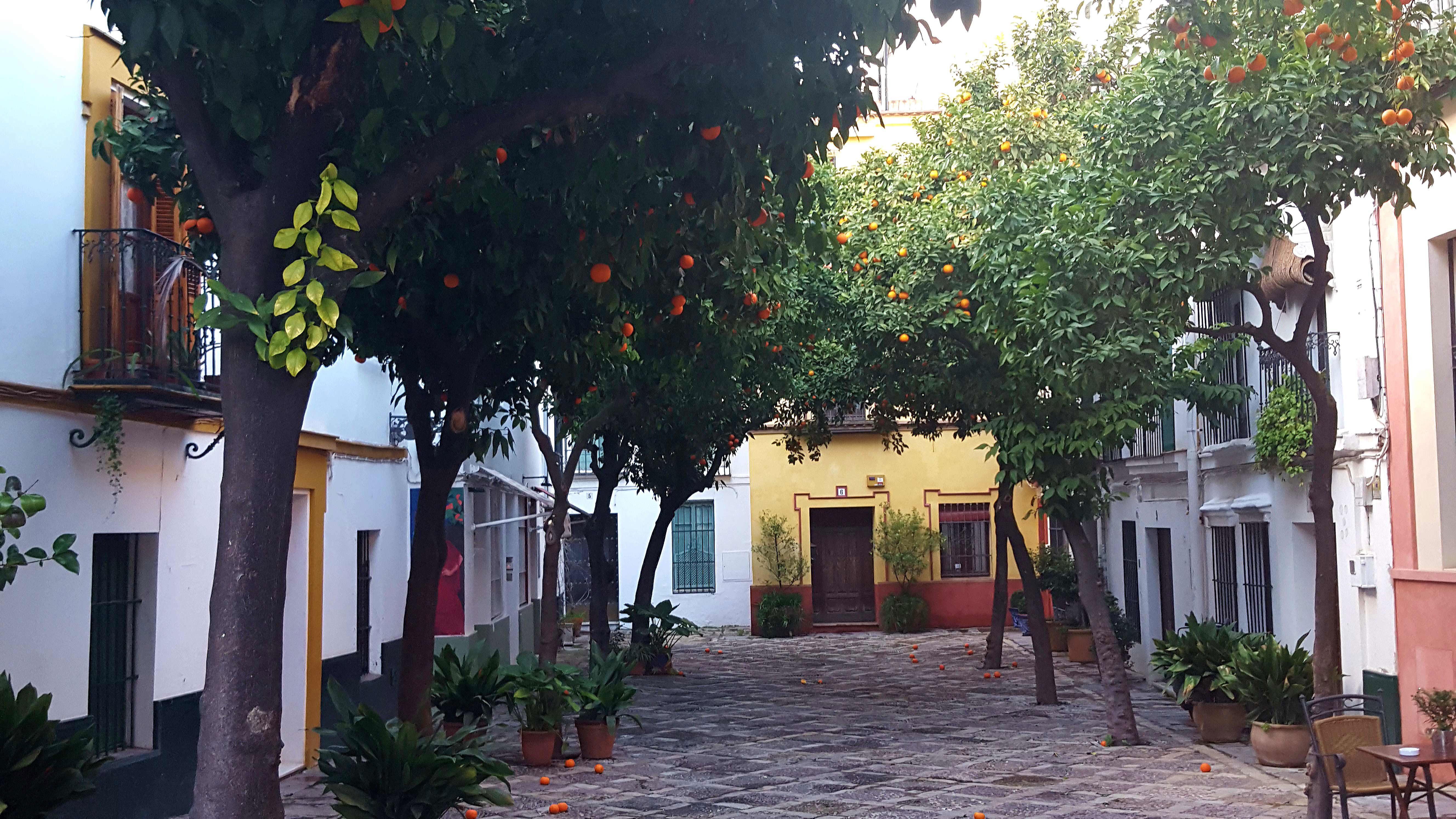 Calles de Sevilla, por Ana Roig
