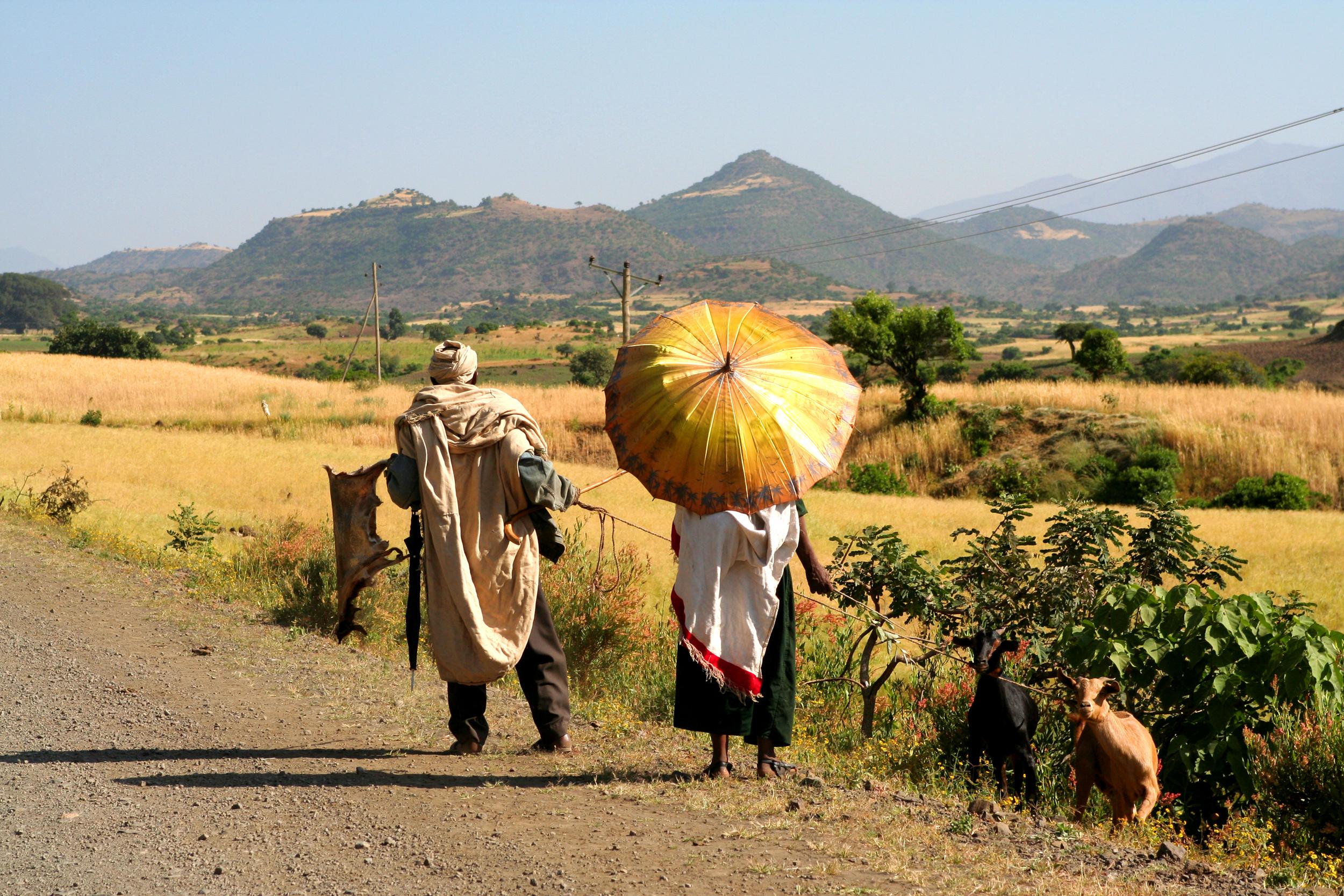 Etapa Lalibela - Mekelé, por GERARD DECQ