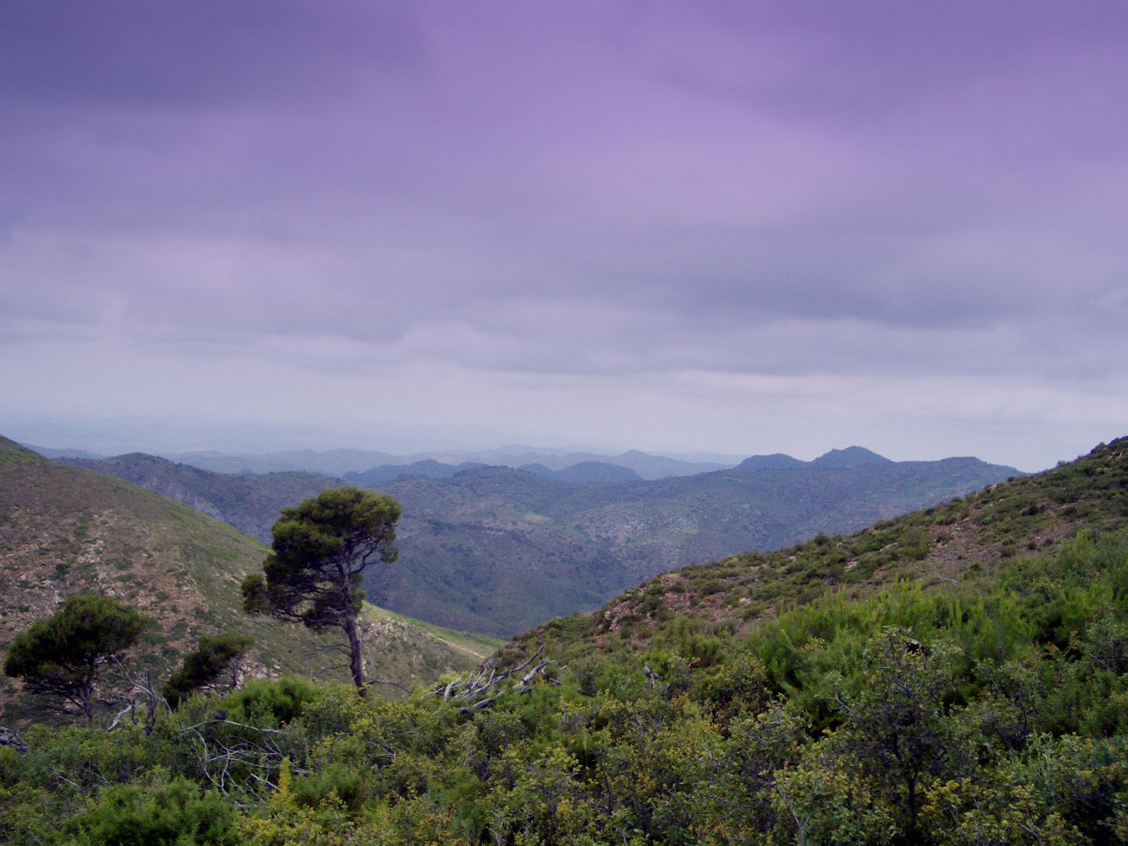 Parque natural de la Sierra Calderona, por Moisés García