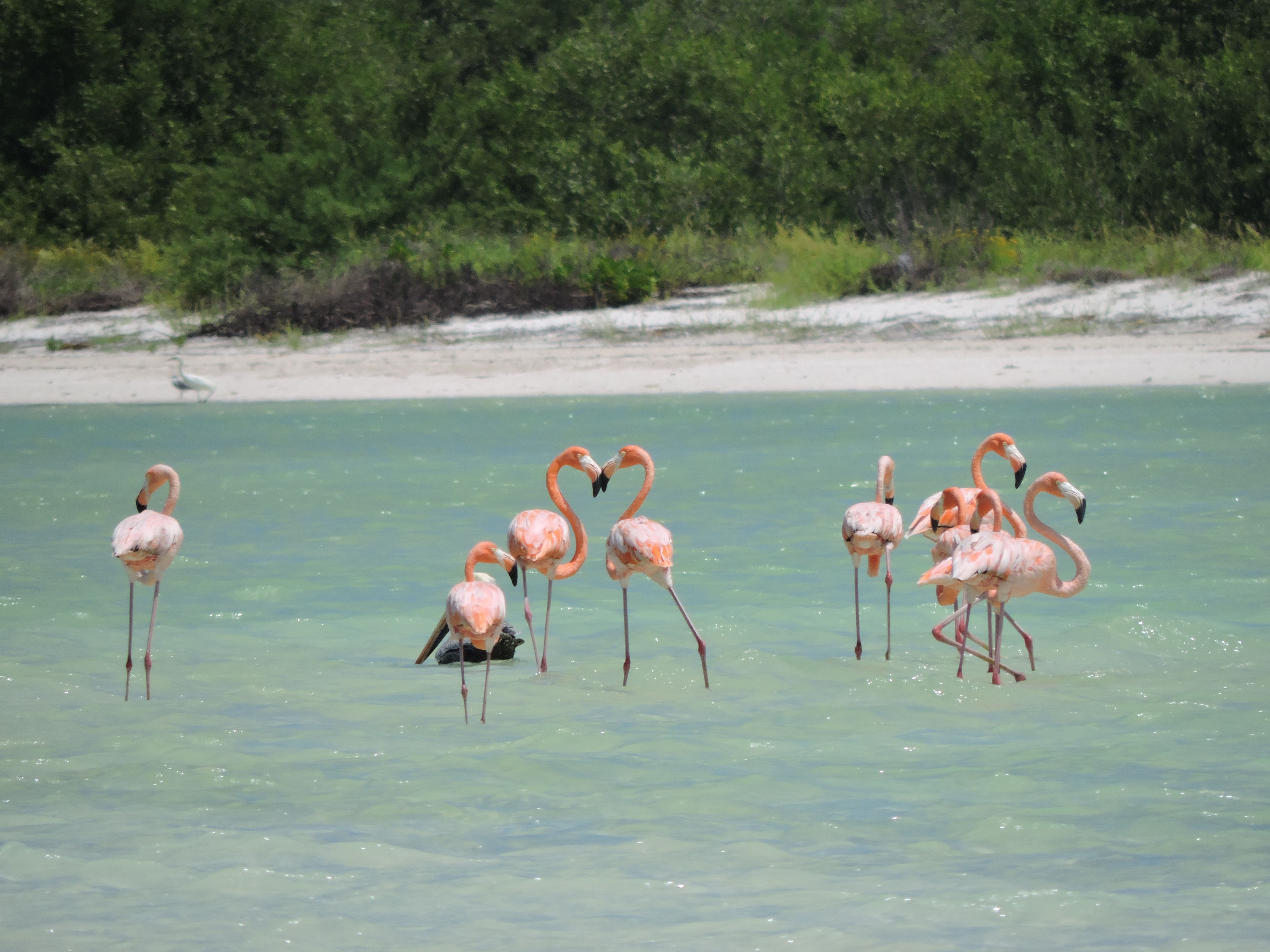 Descubre los fascinantes sitios de interés turístico en Quintana Roo