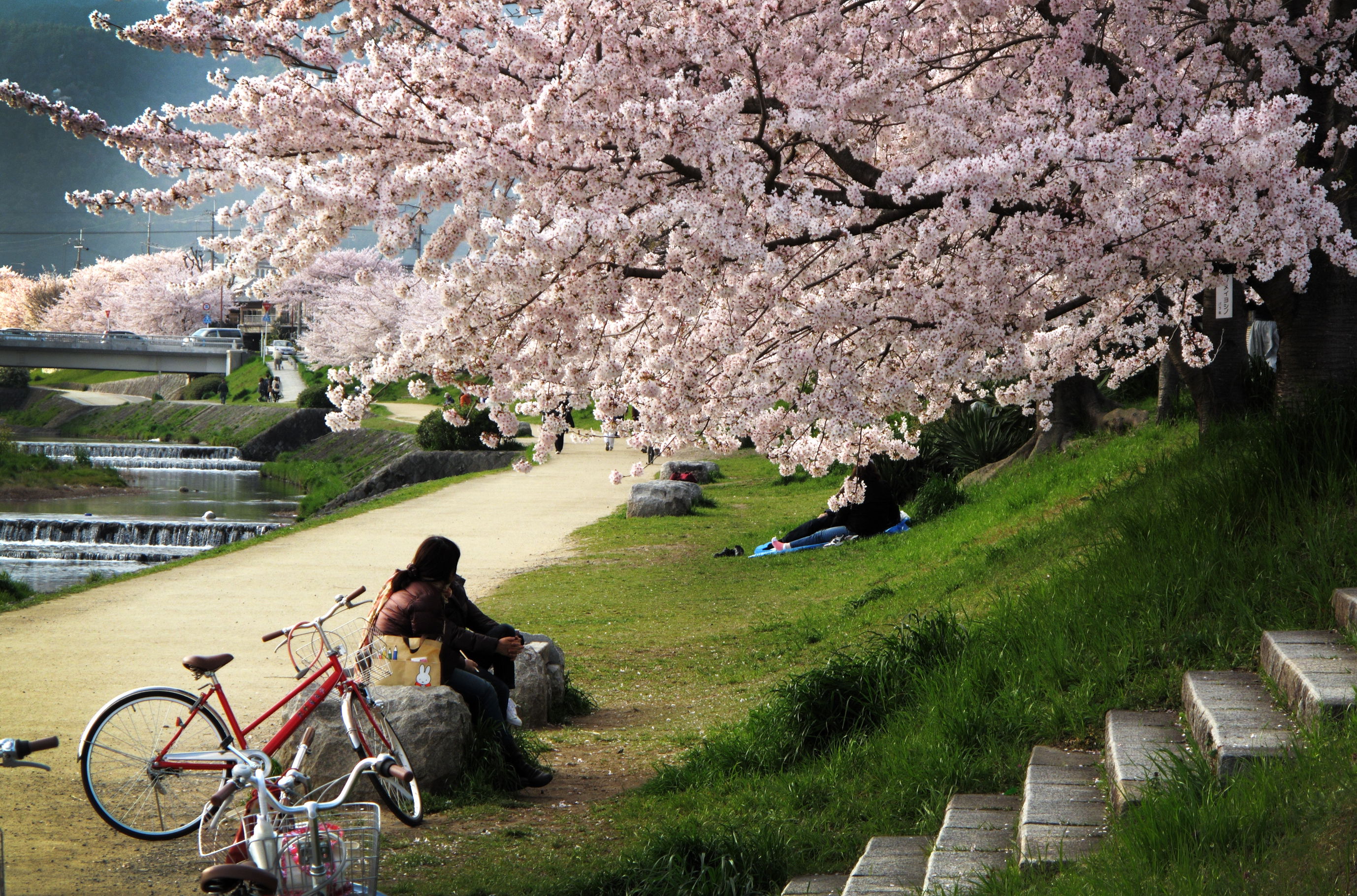 Kyoto, por albert vilaro rovira