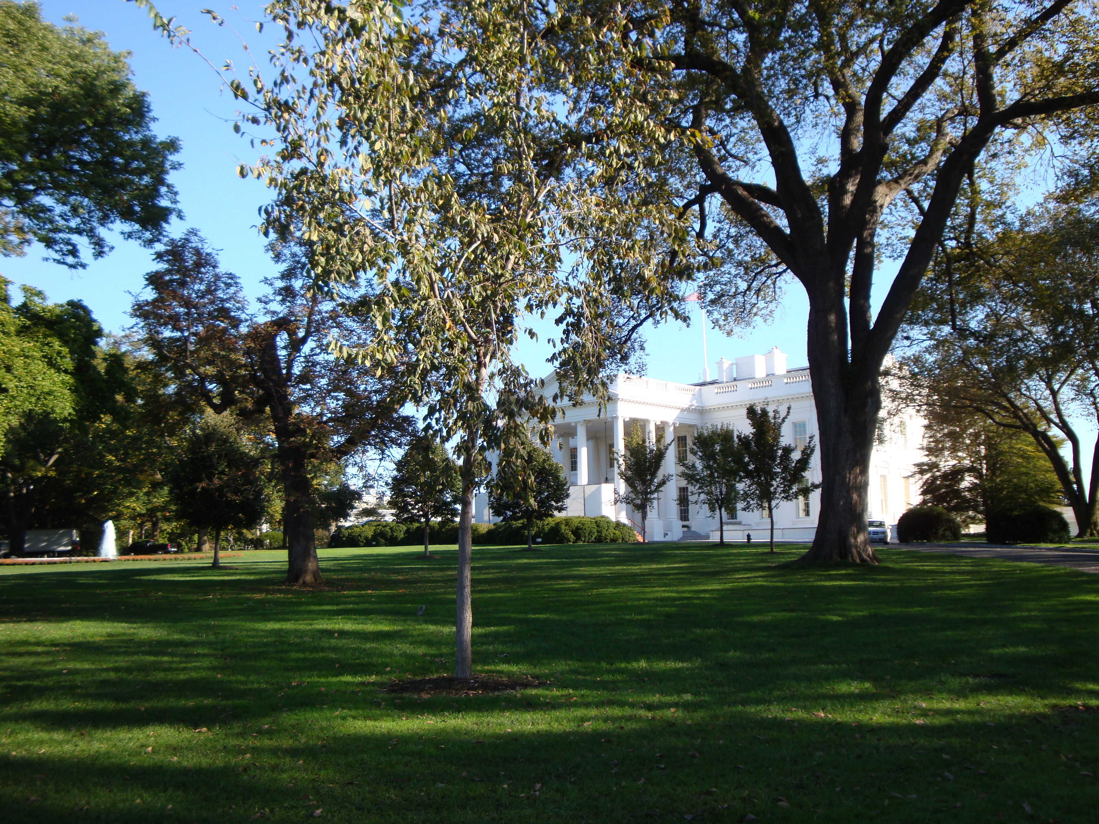 La Casa Blanca, por p4bl0