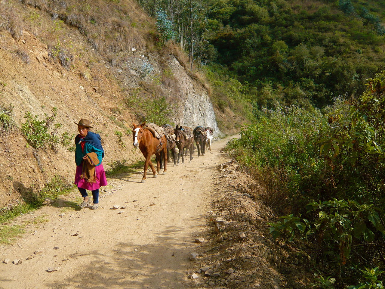 Choquequirao Trek, por Karelito
