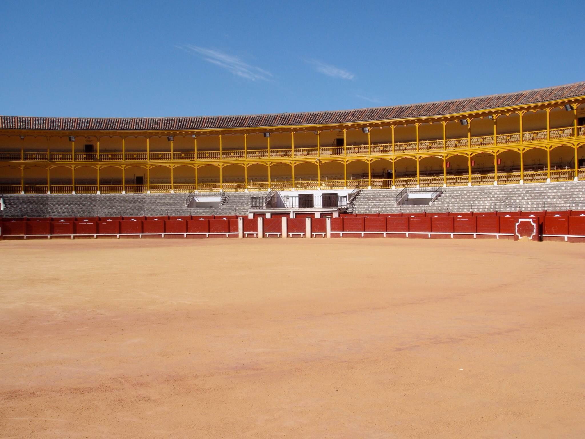 Plaza De Toros De Aranjuez, por María Carmen García Moraleda