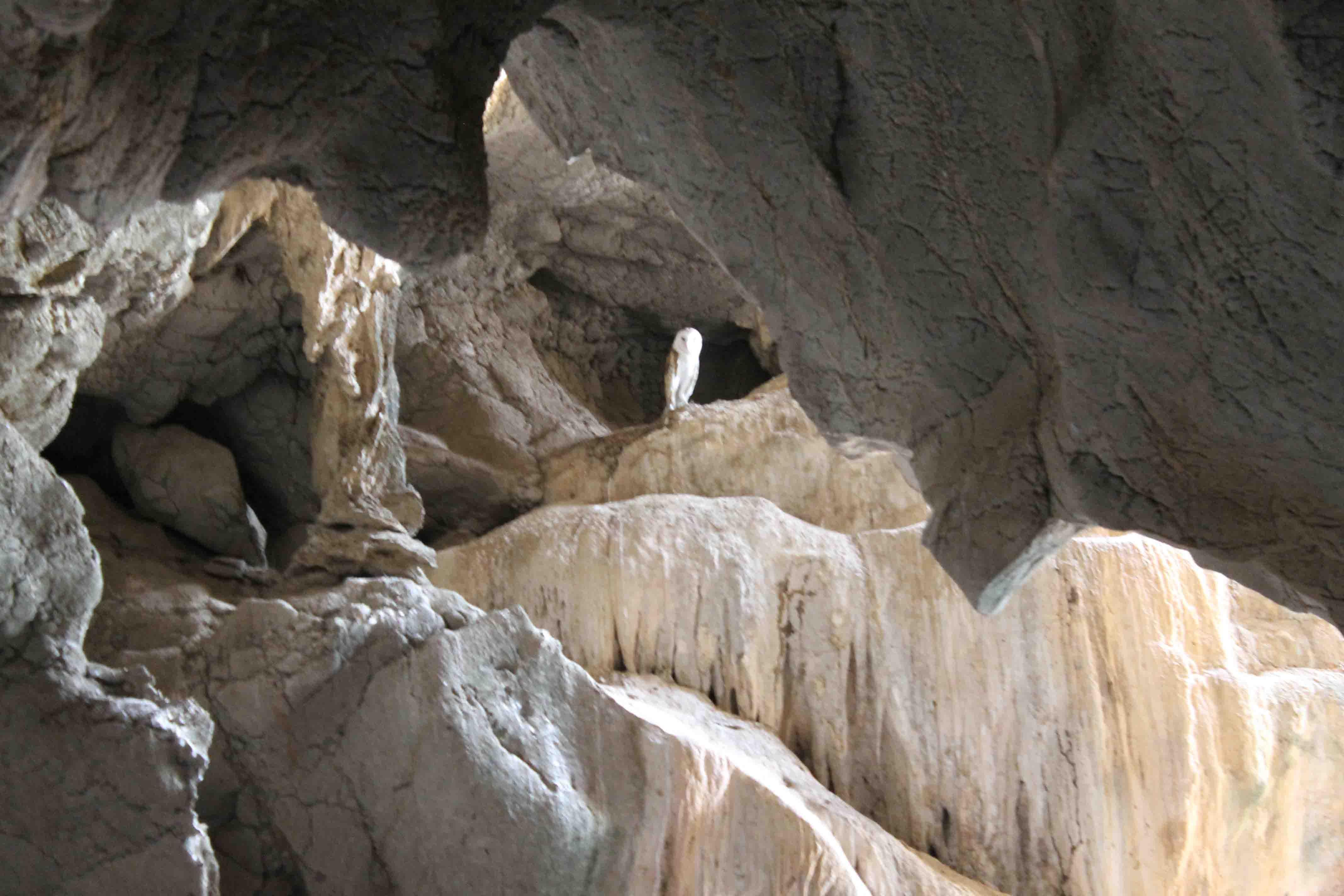 Gruta de Lourdes, por Erika Paz