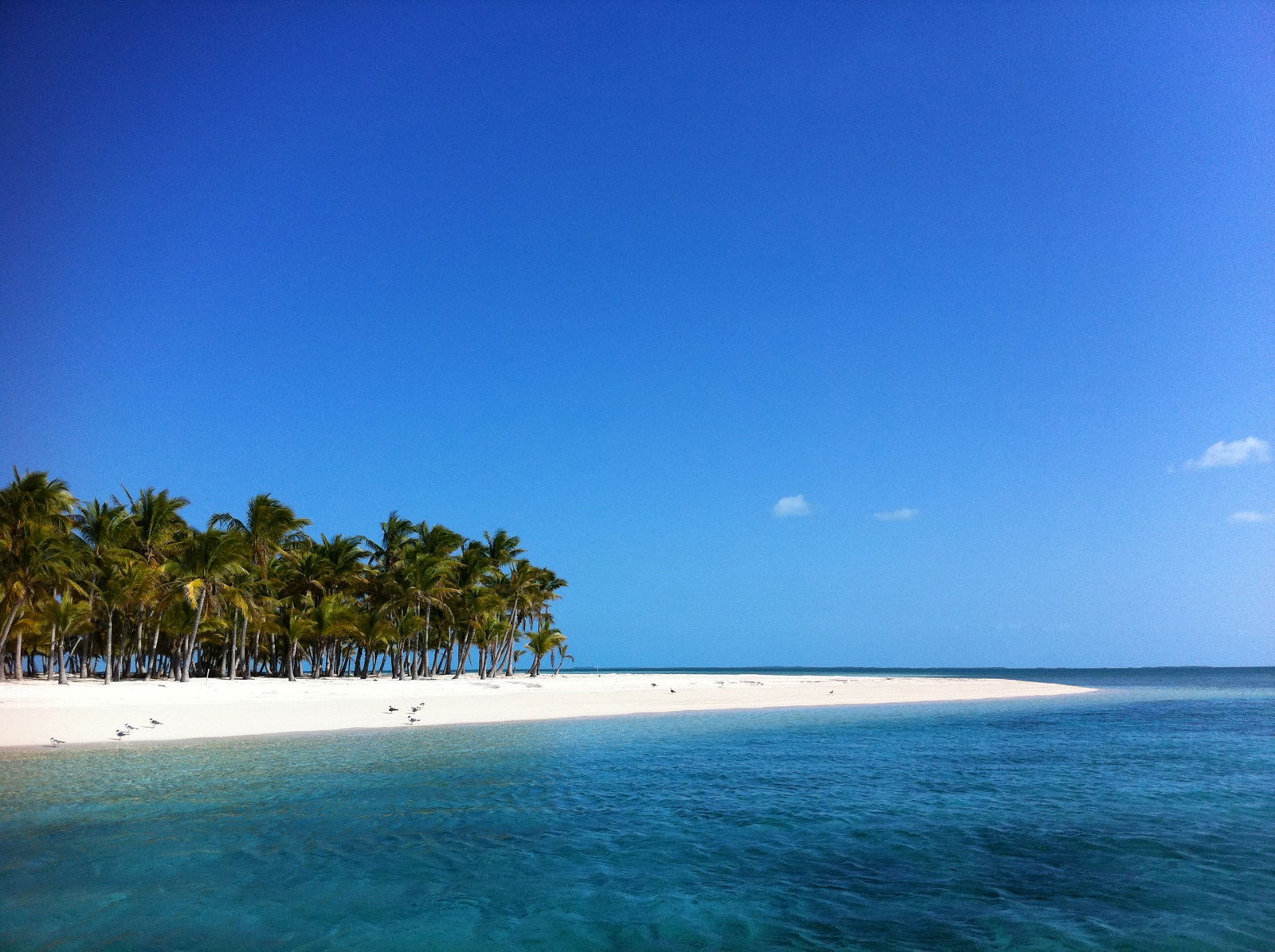 Exuma, por nacho