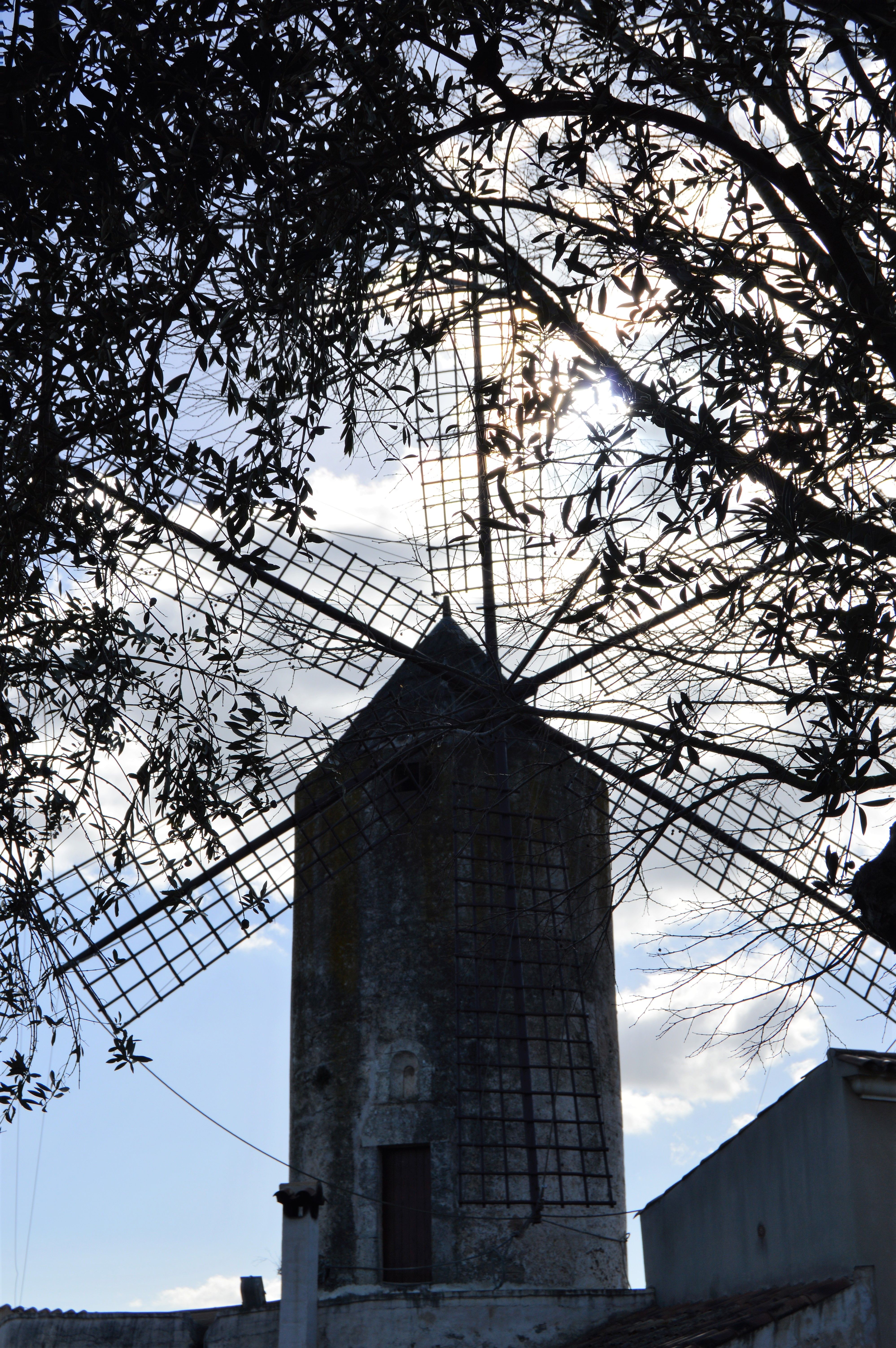 Molinos de Llubí, por Llubí Turismo