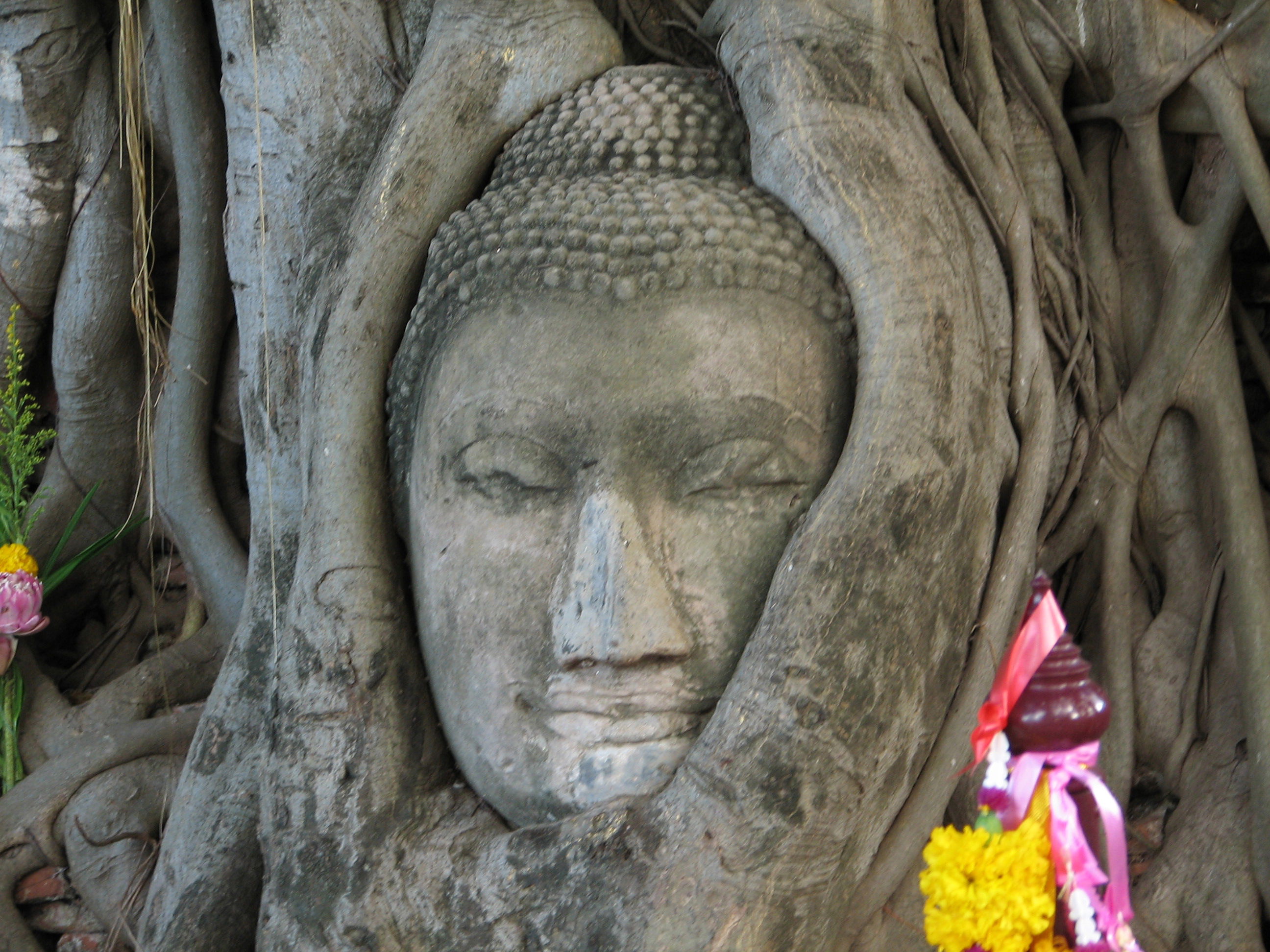 Parque Histórico de Ayutthaya, por Federica Giuliani