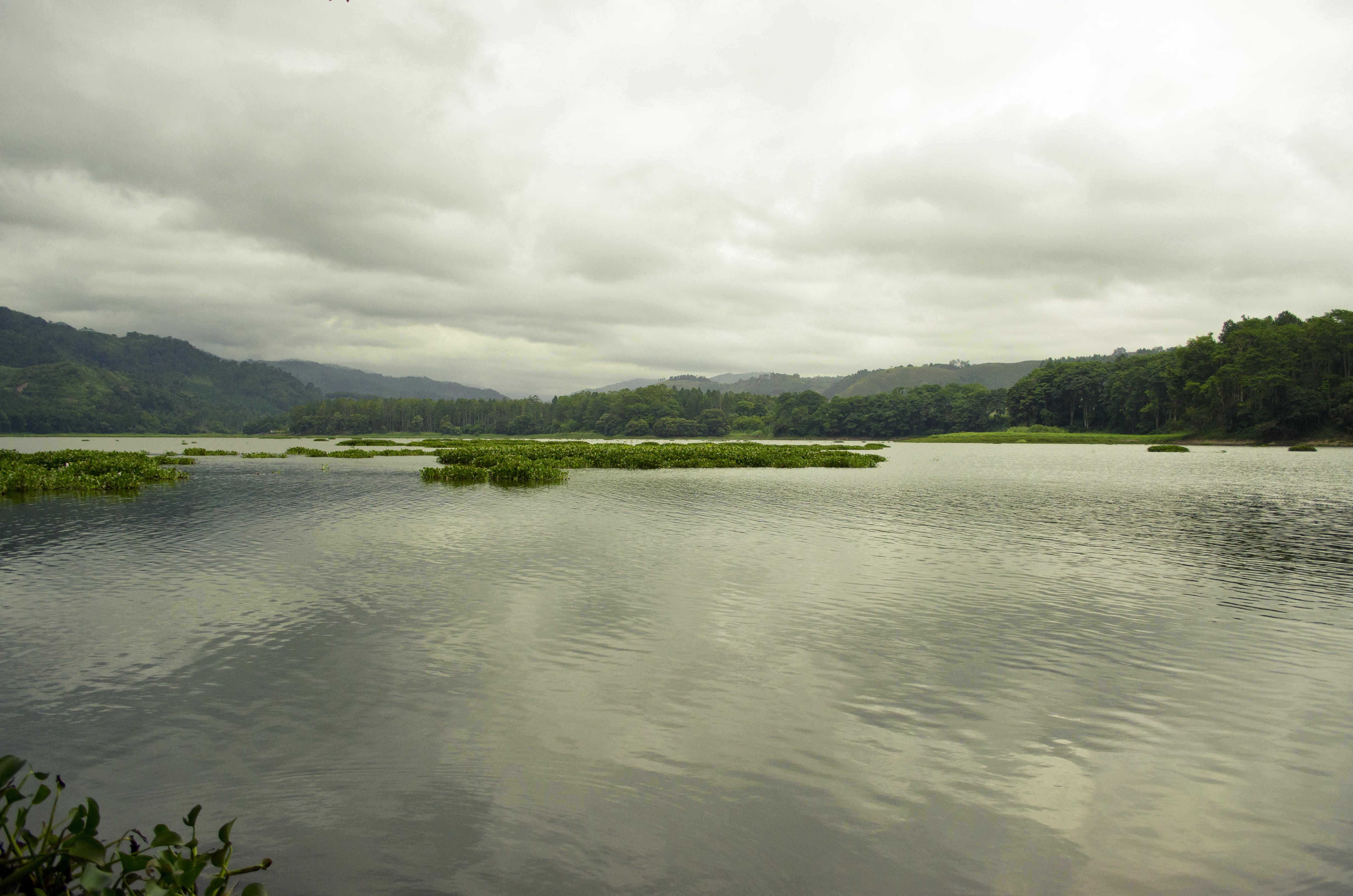 Valle de Orosi, por Omar Moreno Arias
