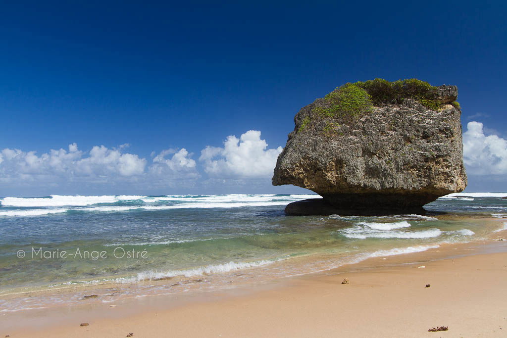 Cattlewash Beach, por Marie-Ange Ostré