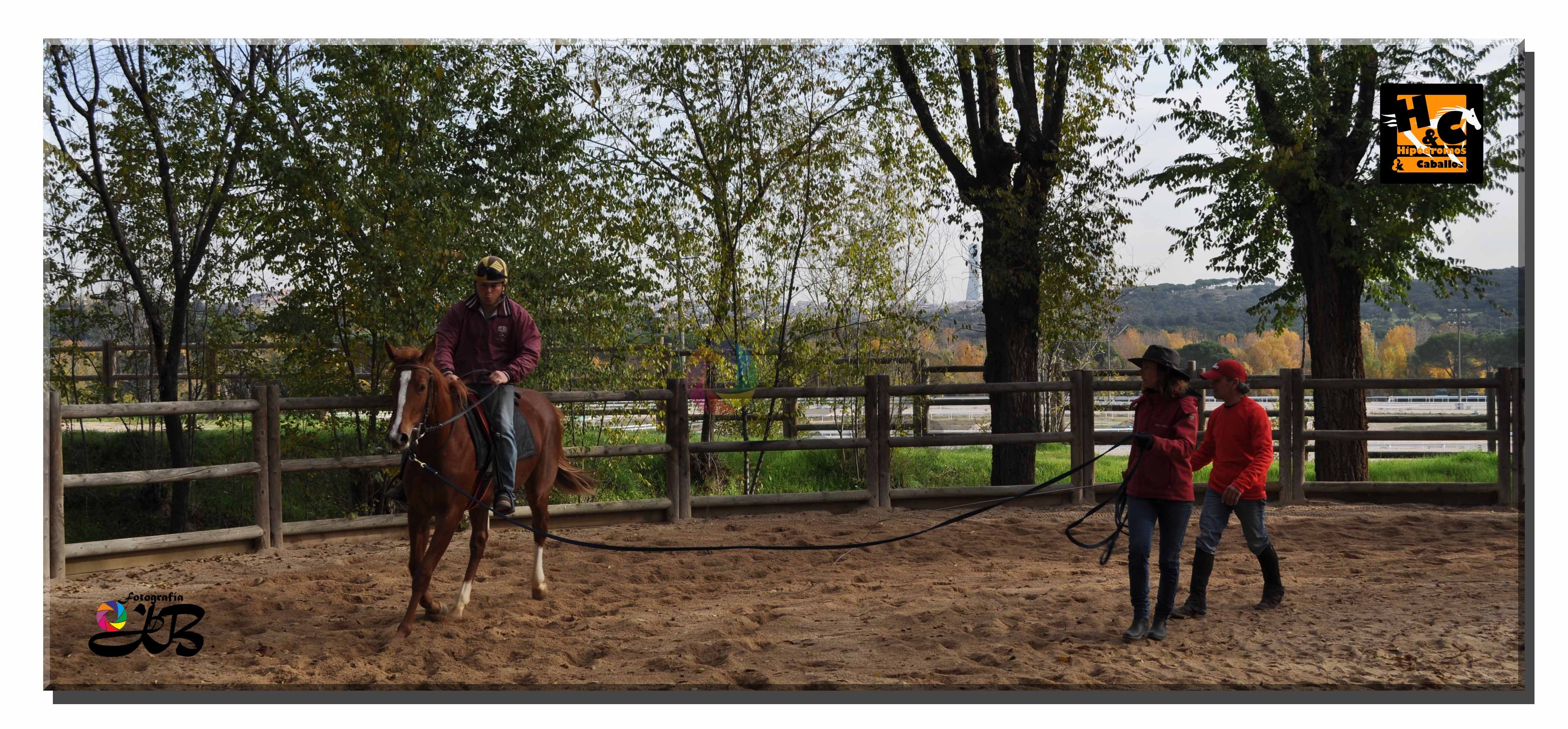 Hípica en Madrid: descubre los mejores lugares para montar a caballo