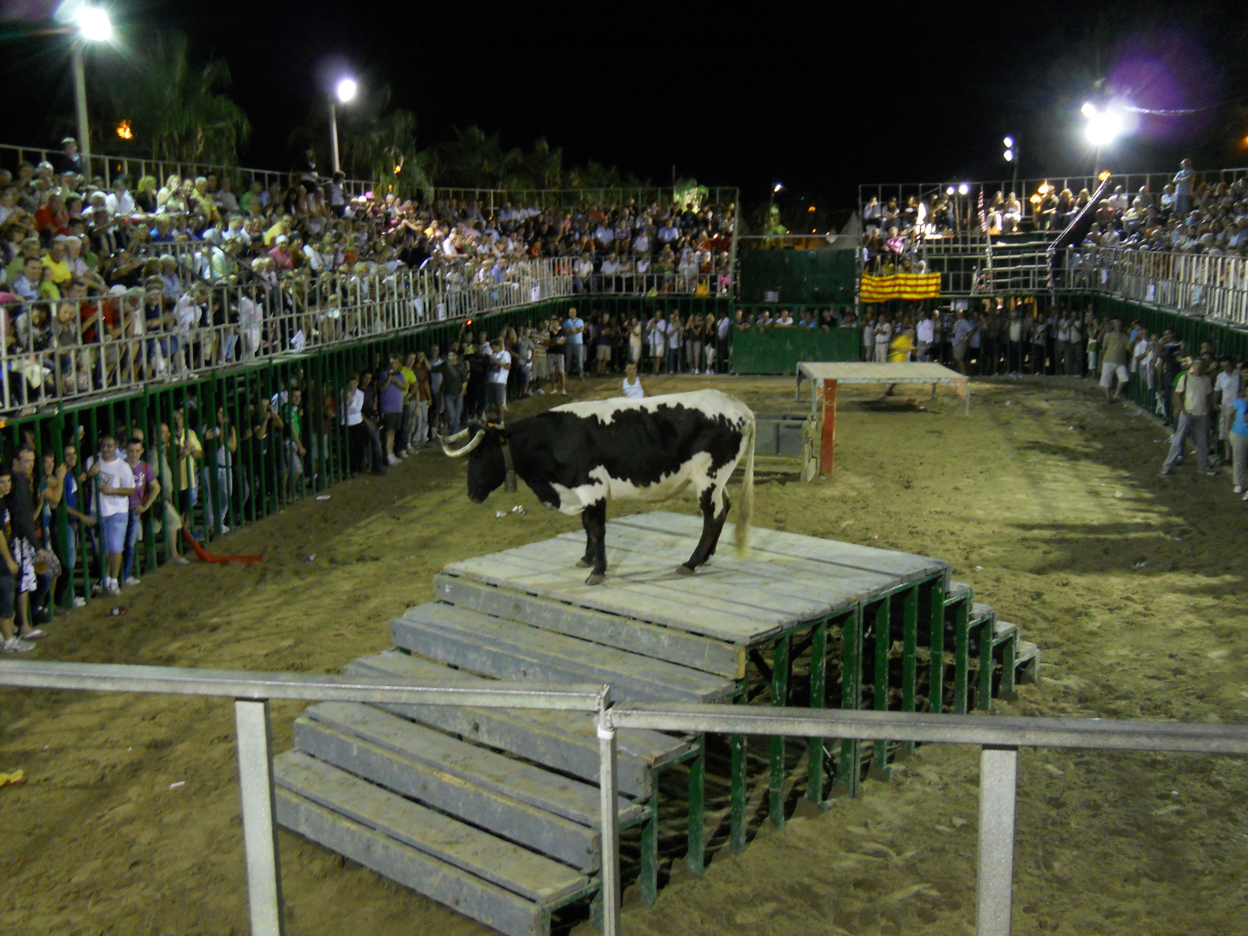 Fiestas en Castellón: descubre la esencia festiva de la provincia