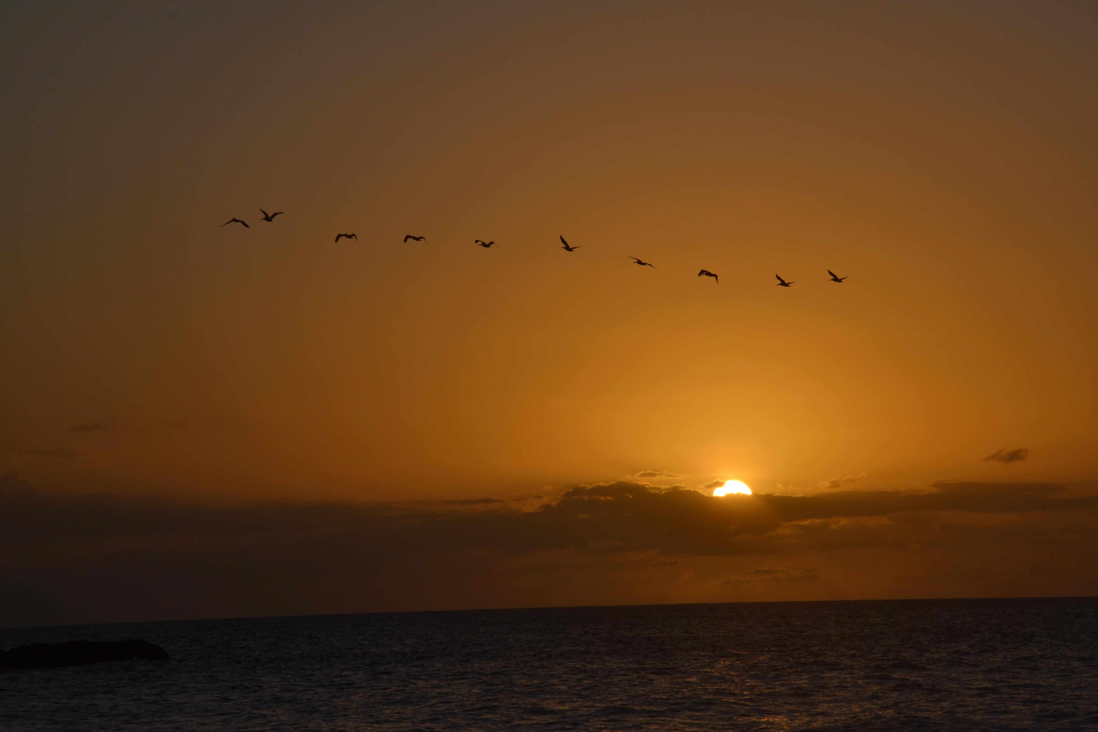 Caribe colombiano, por zoe484