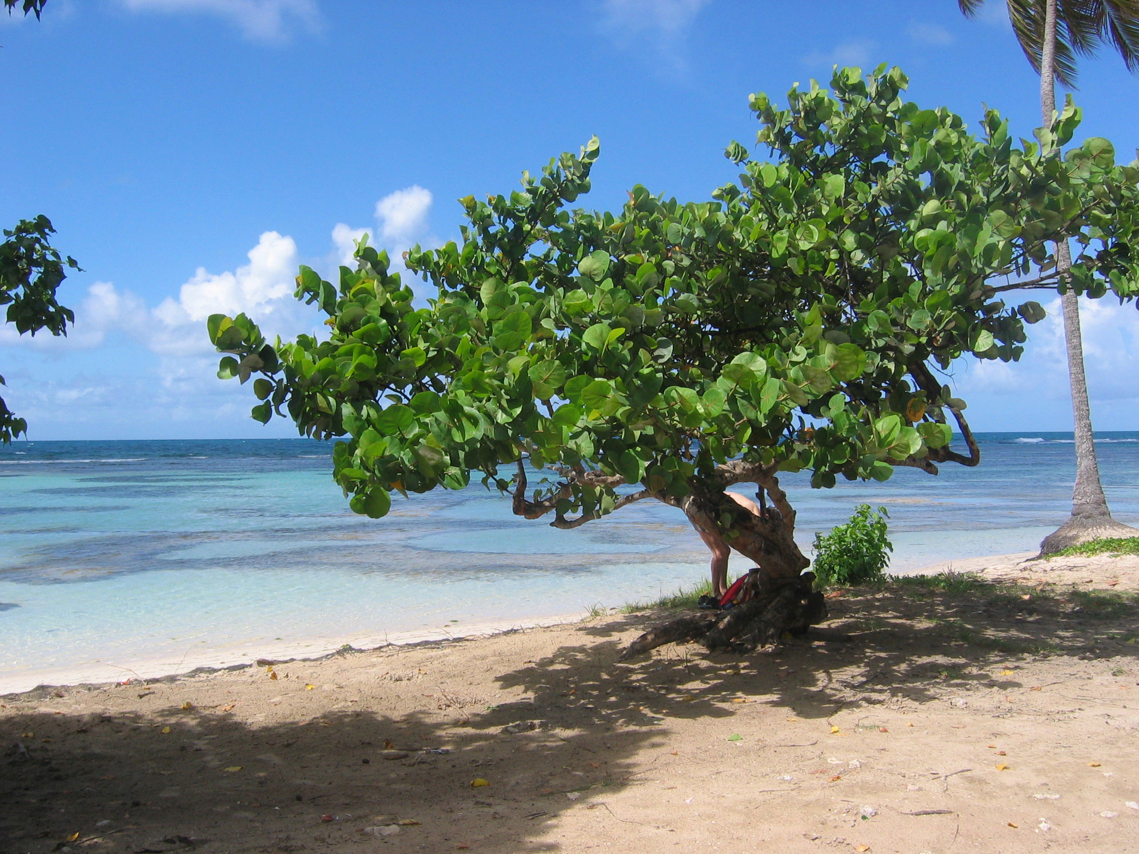 Playa de Bois Jolan, por Claudia 