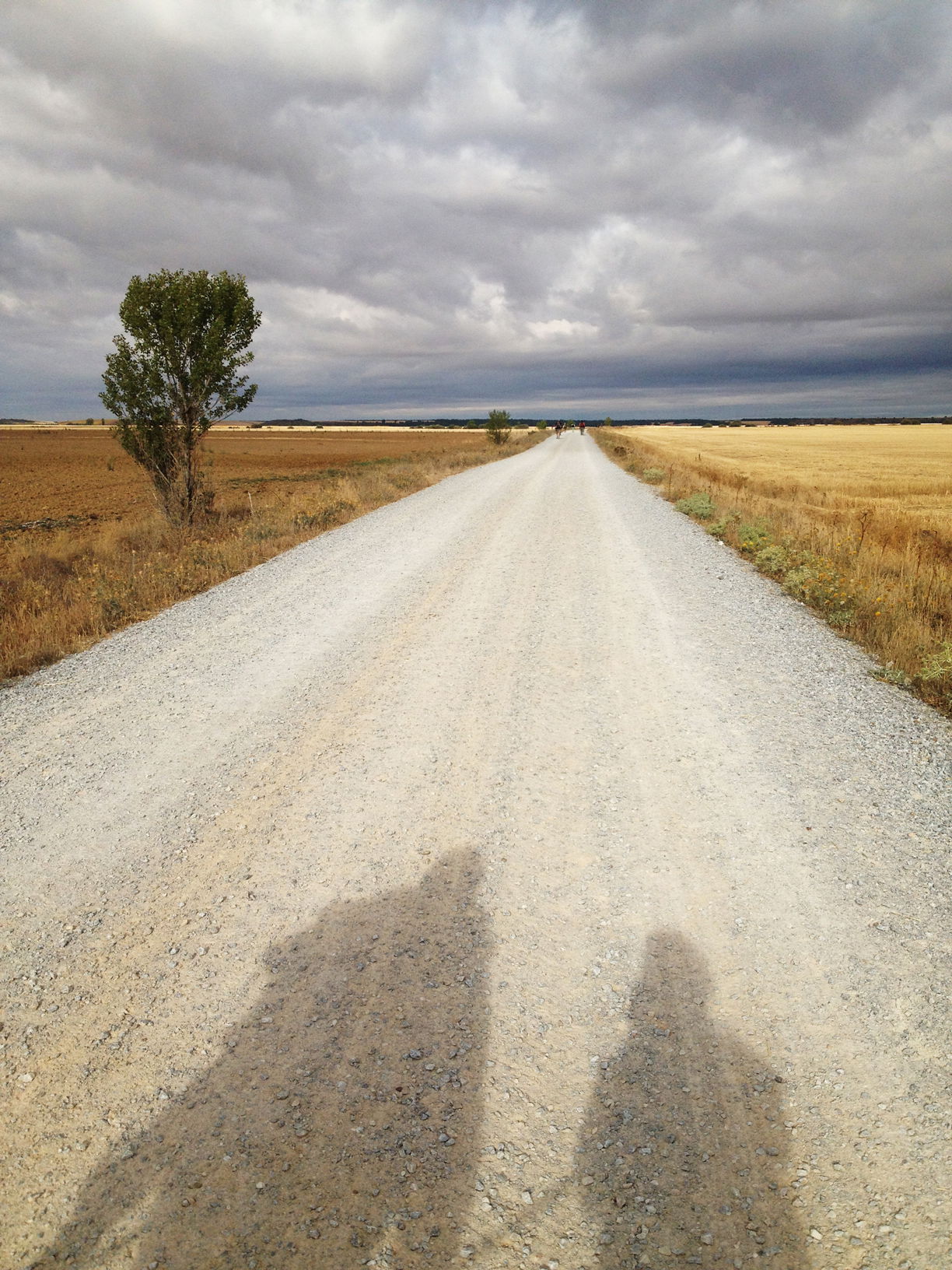 Etapa 16 Camino de Santiago, hacia calzadilla la cueza, por Verónica Sorribes Cabrera