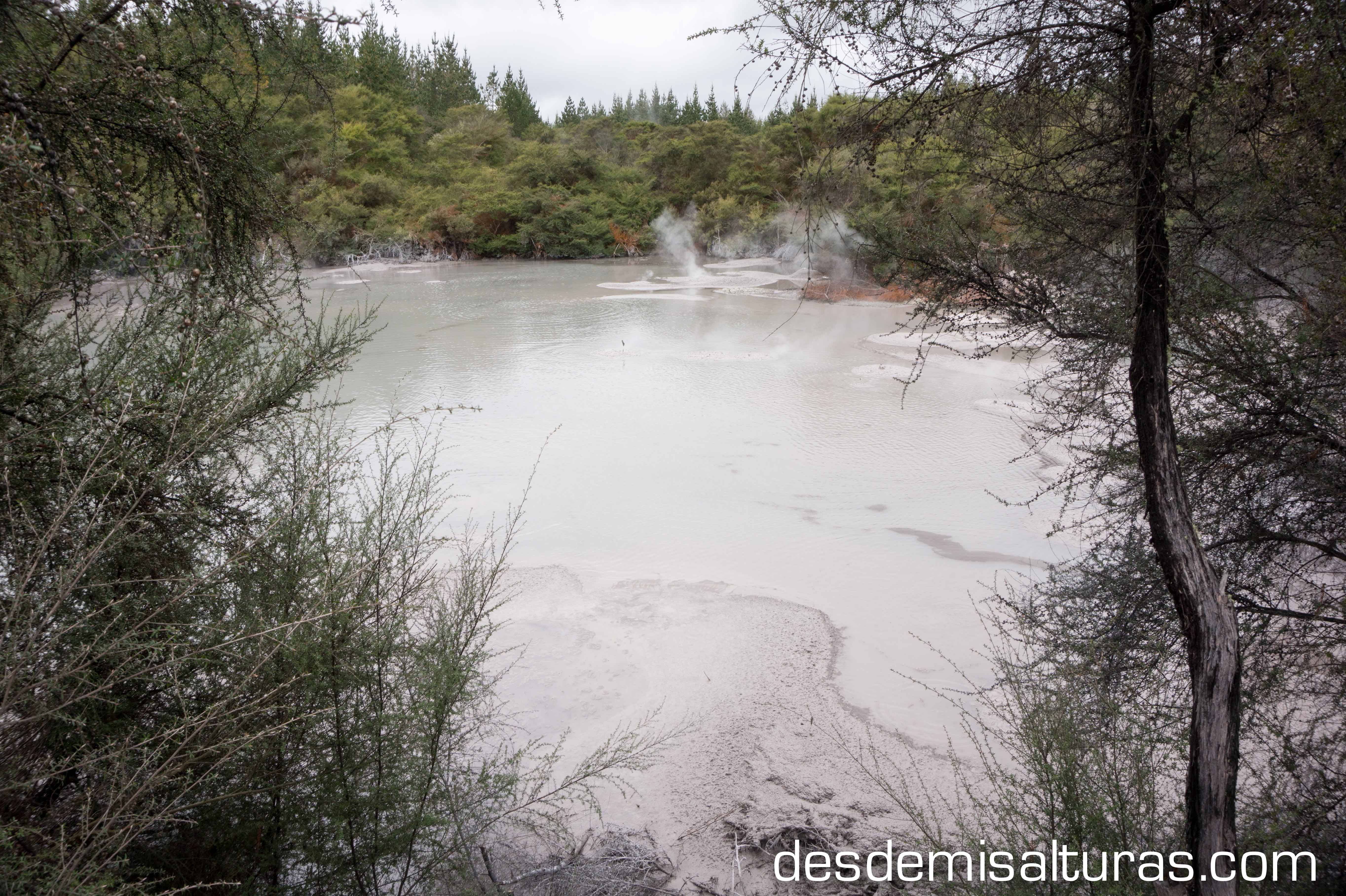 Piscinas de barro en Rotorua, por desdemisalturas.com