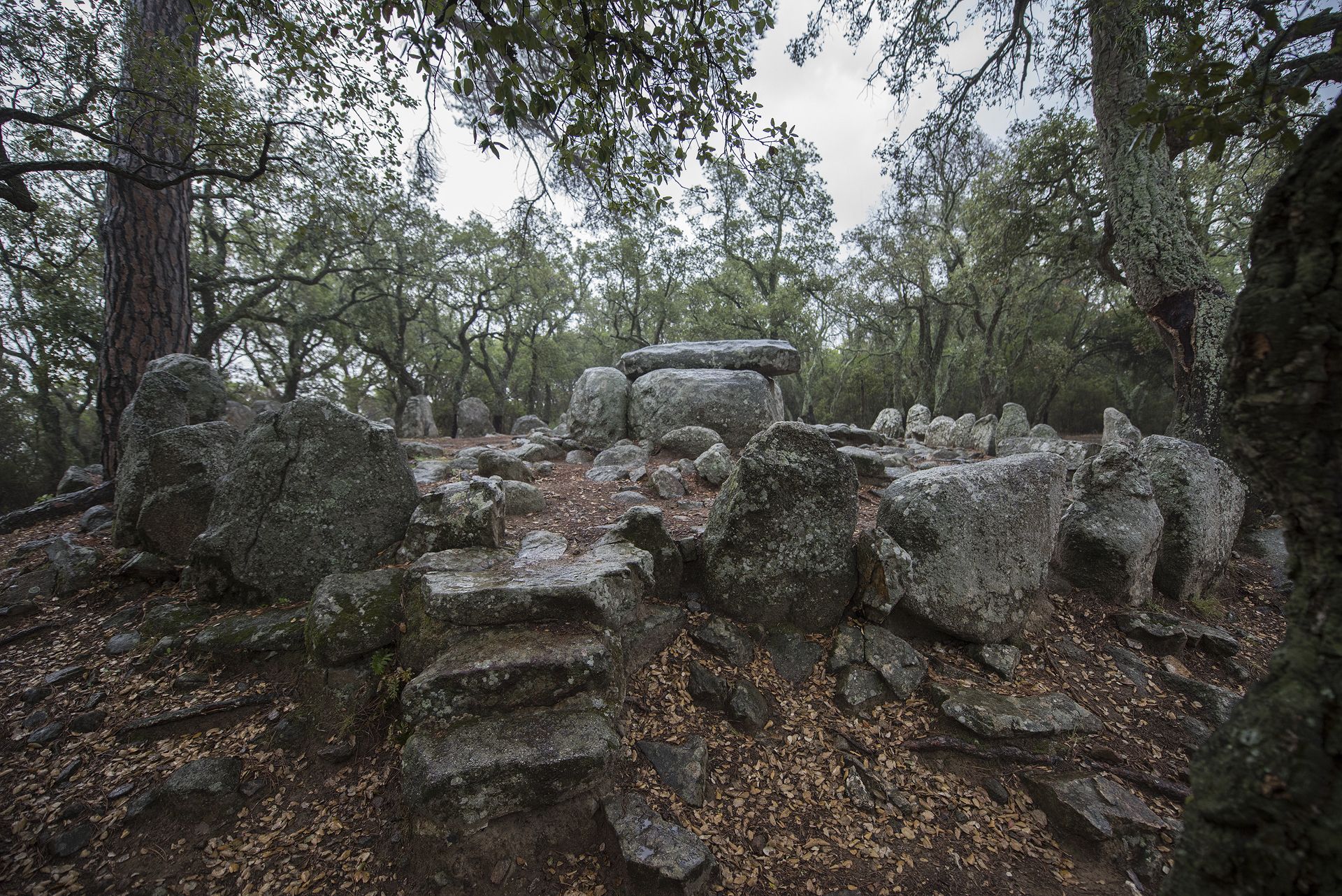 Cueva de Daina - Cova d'en Daina, por Julio Castro Pardo