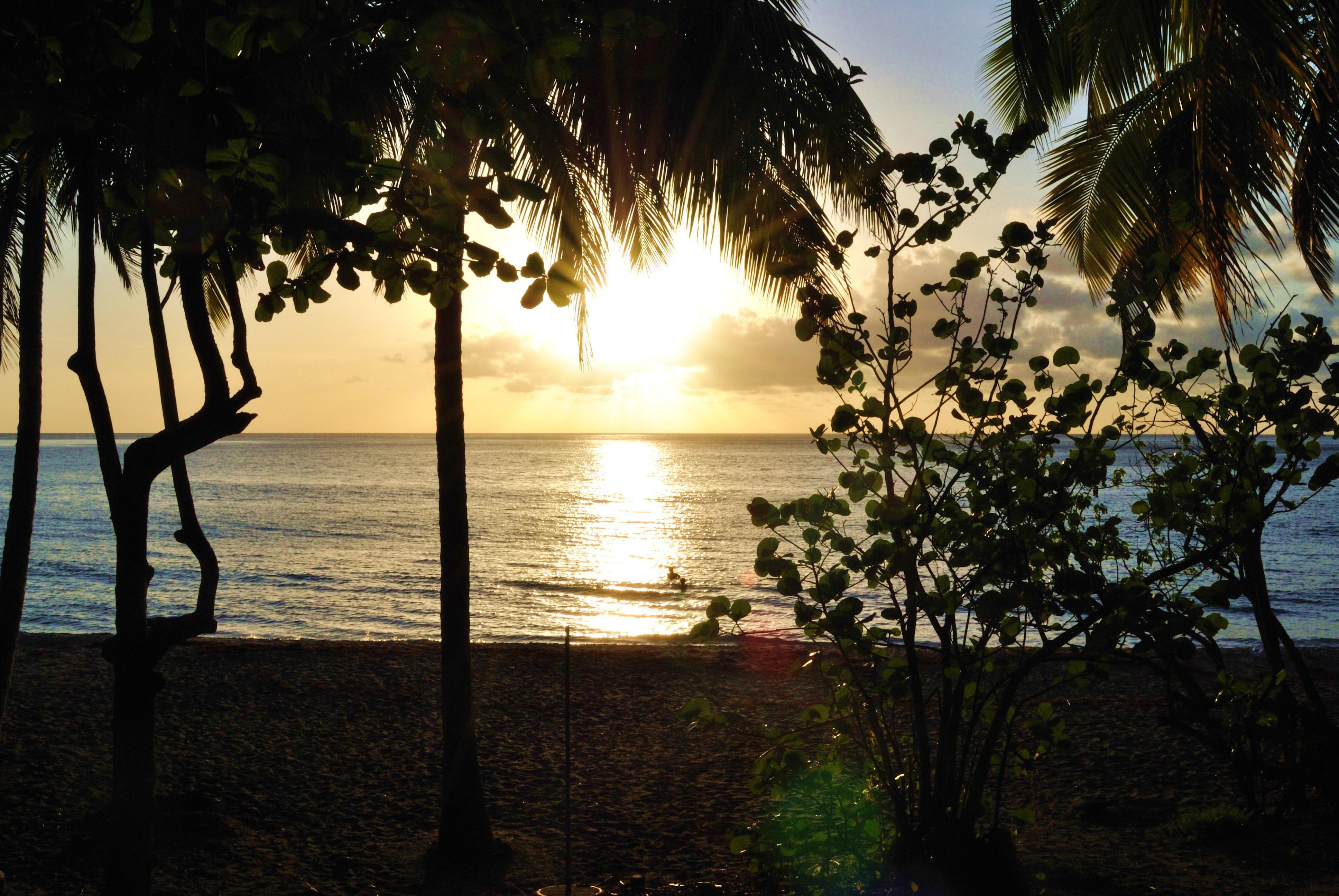 Anse Ceron, por arianna franchin