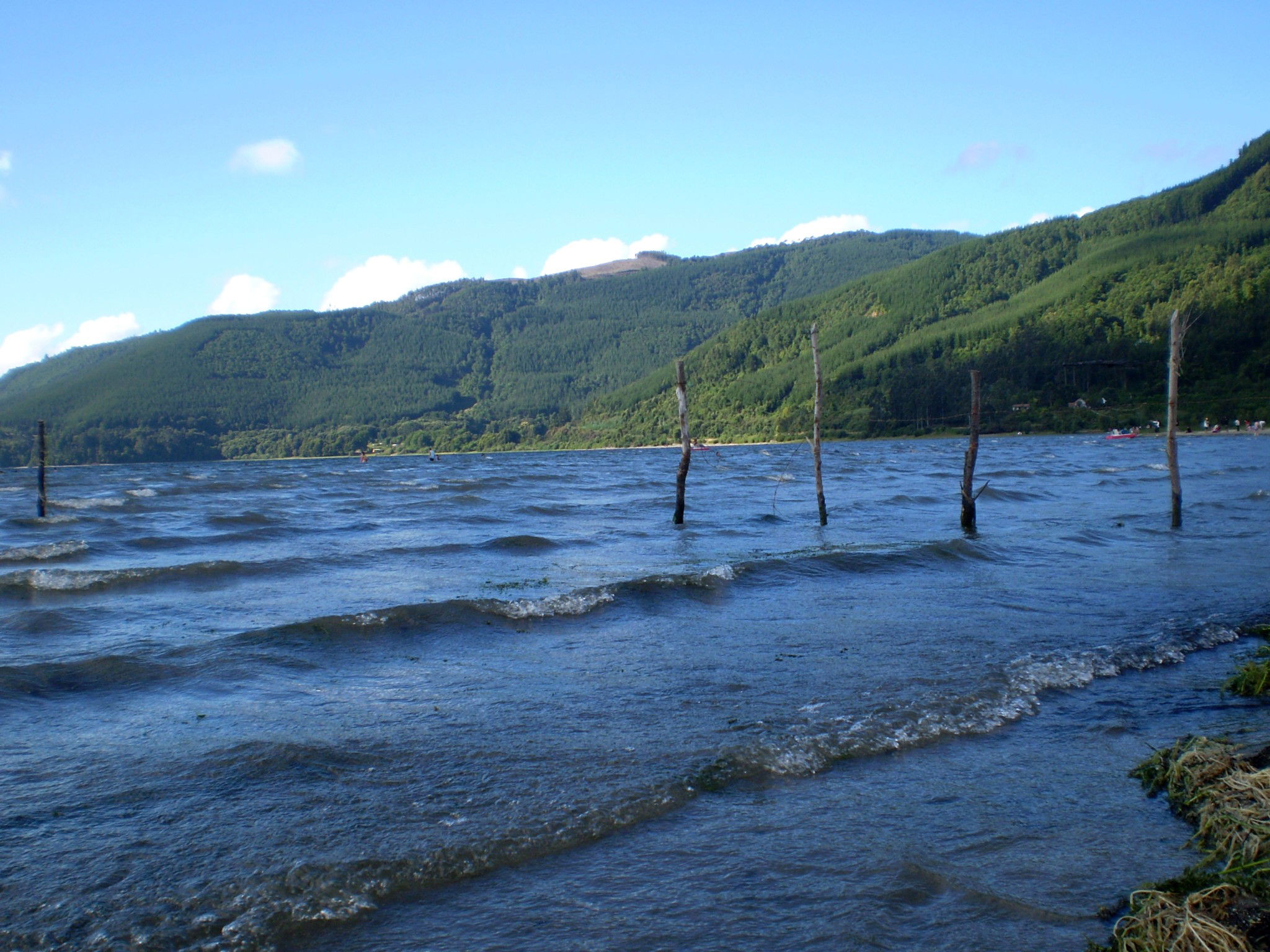 Lago Lanalhue, por Pablo Olivera 