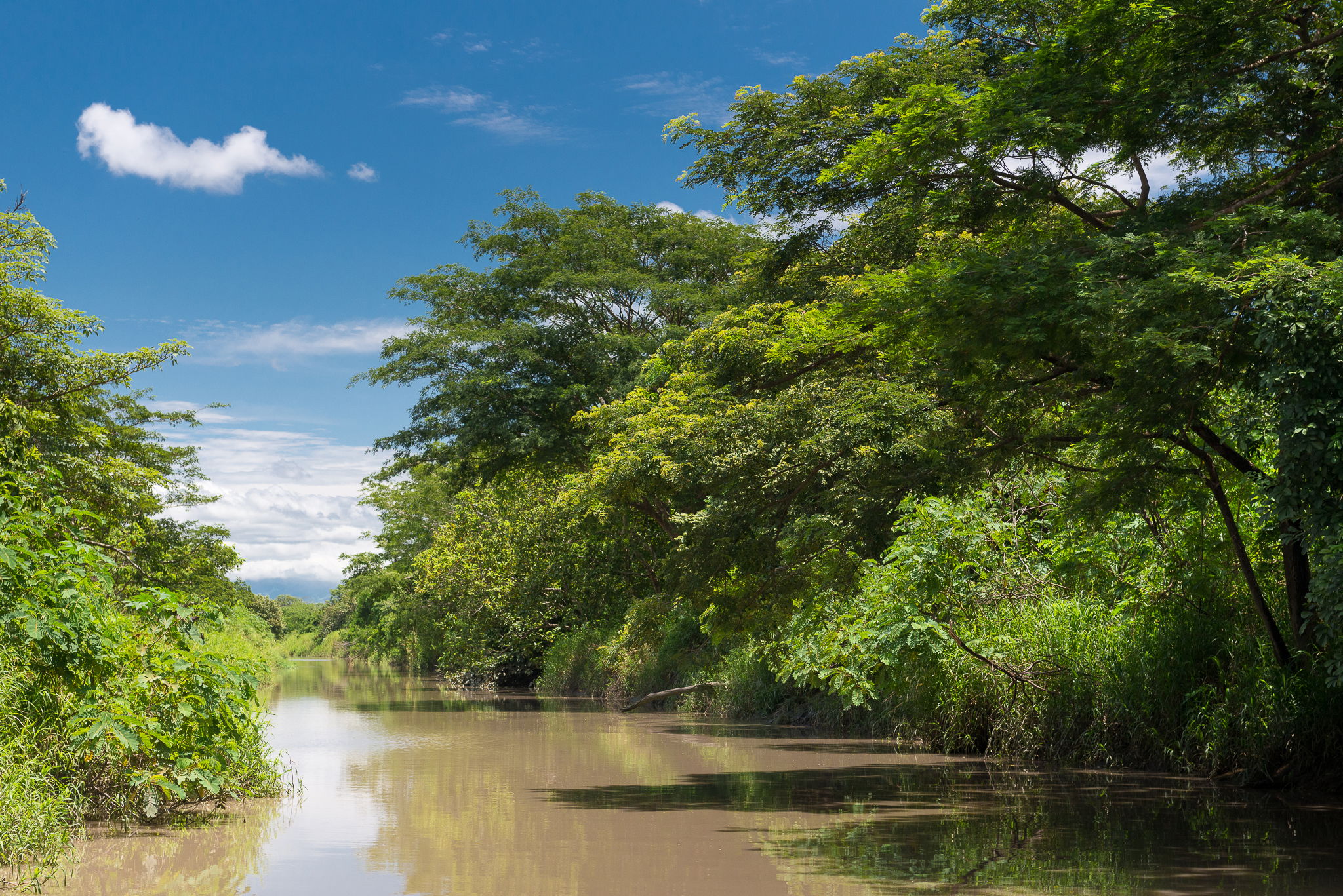 Paseo en Barco por el río Tempisque, por Ignacio Izquierdo