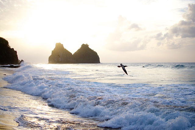 Praia do Bode, por Ana Carolina Pan