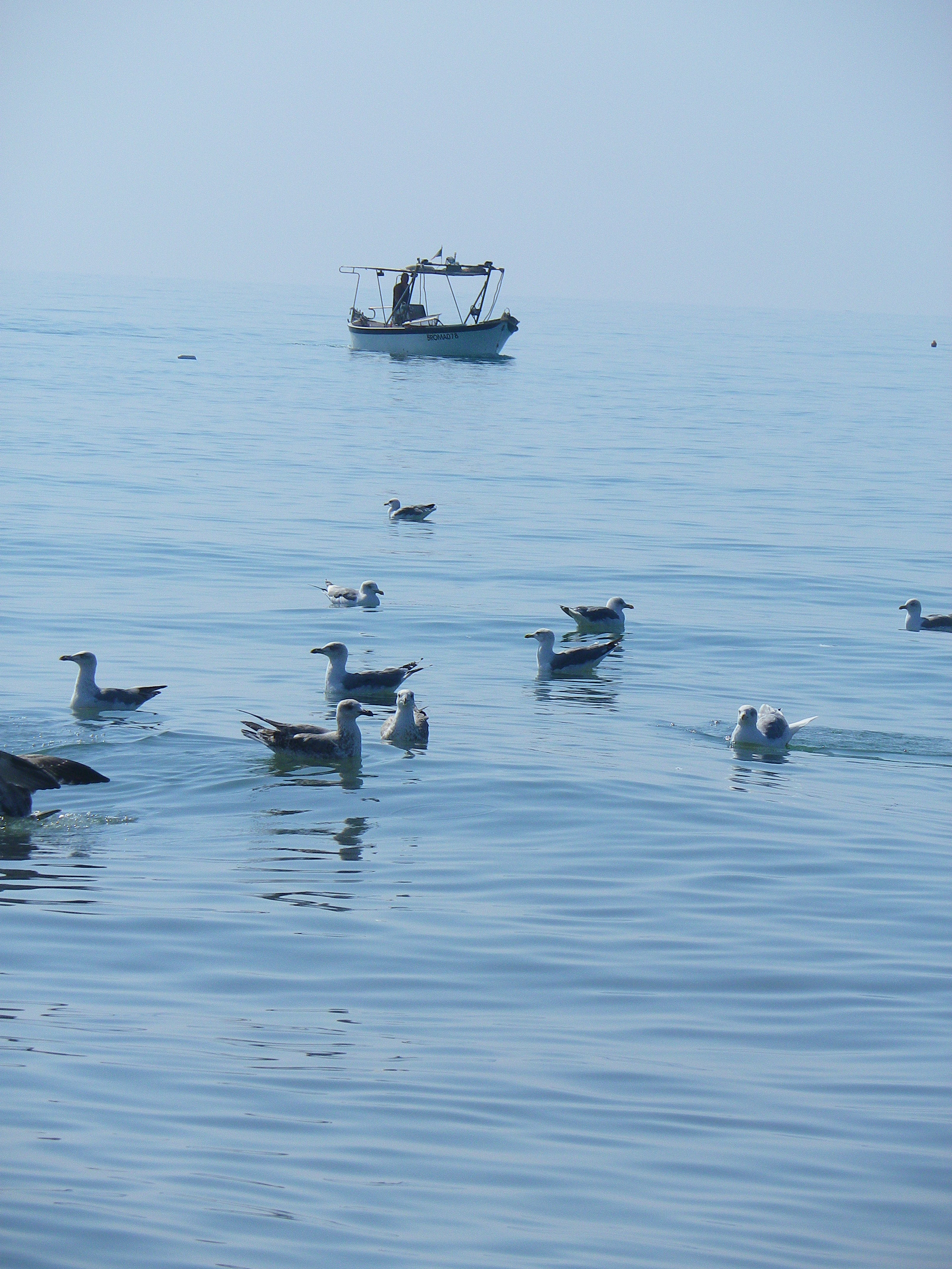 Il blu del mare di Torvajanica, por cinzia d'agostino