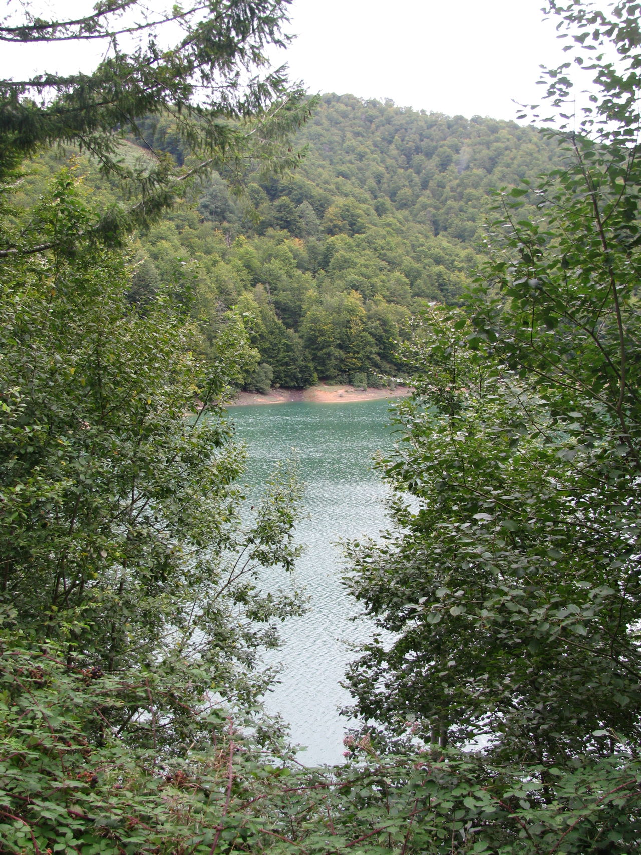 Embalse de Irabia, por Lonifasiko