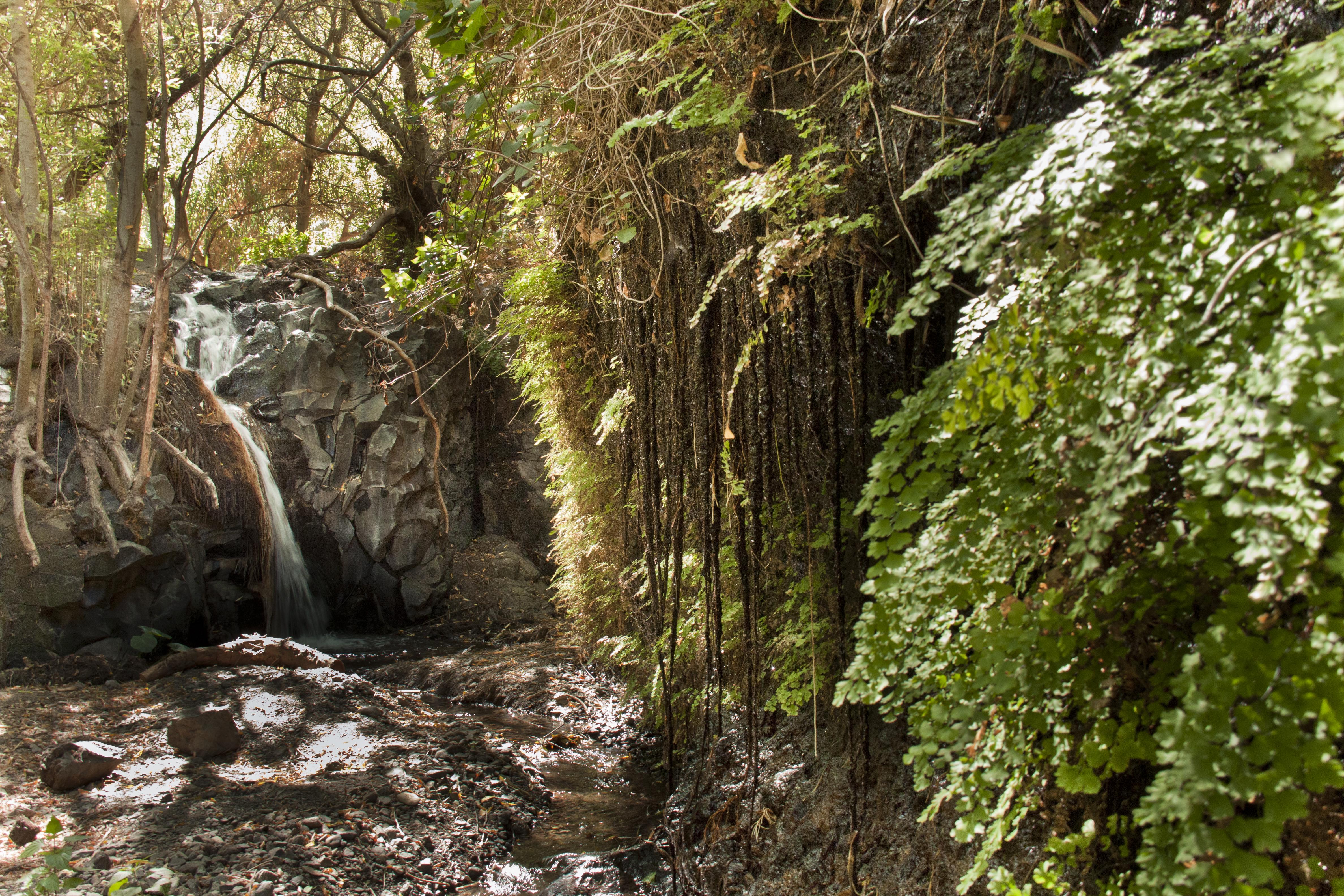 Descubre las ciudades más vibrantes de Canarias y su encanto único