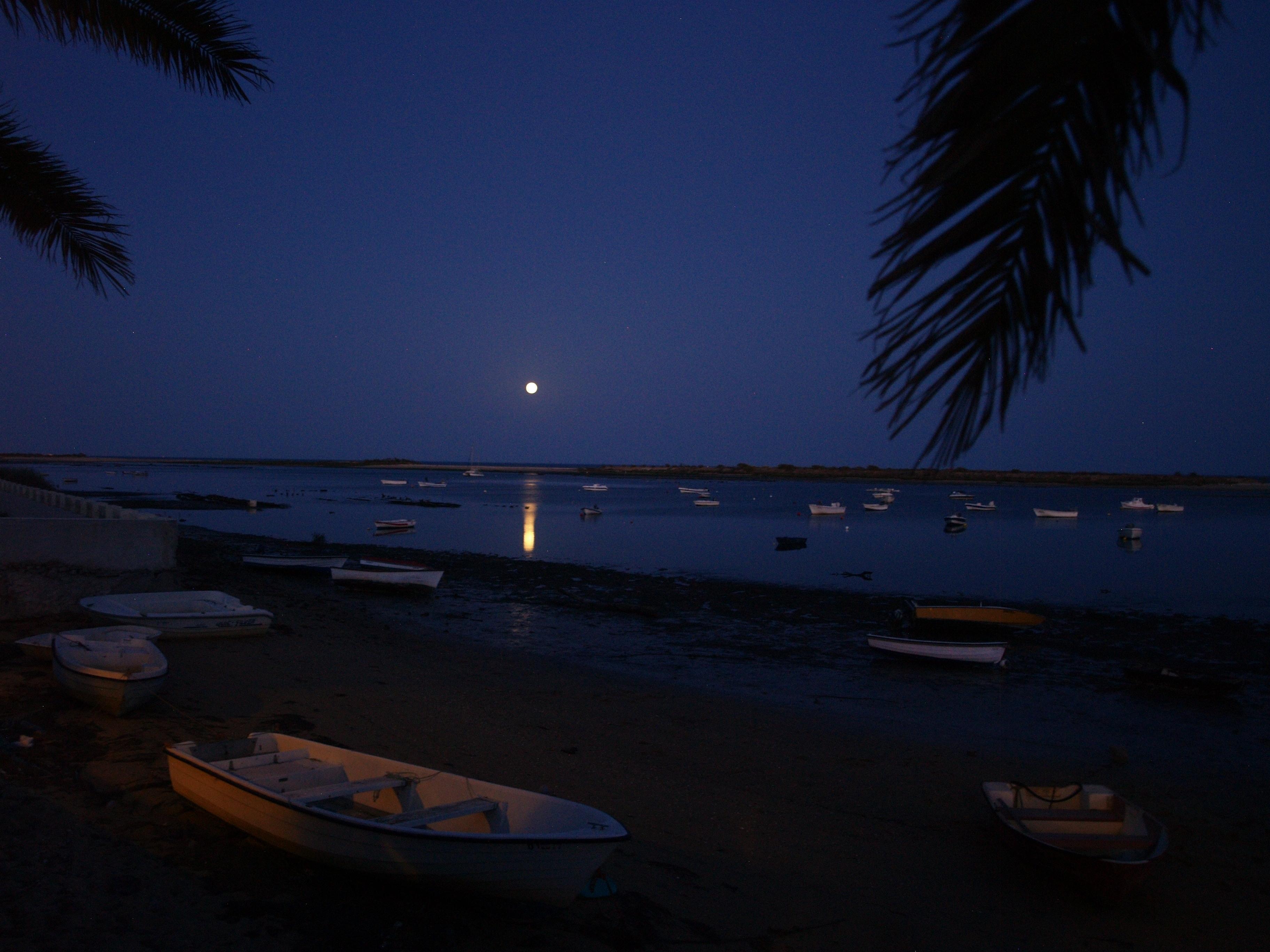 Parque Natural de Ria Formosa, por Maria Gómez