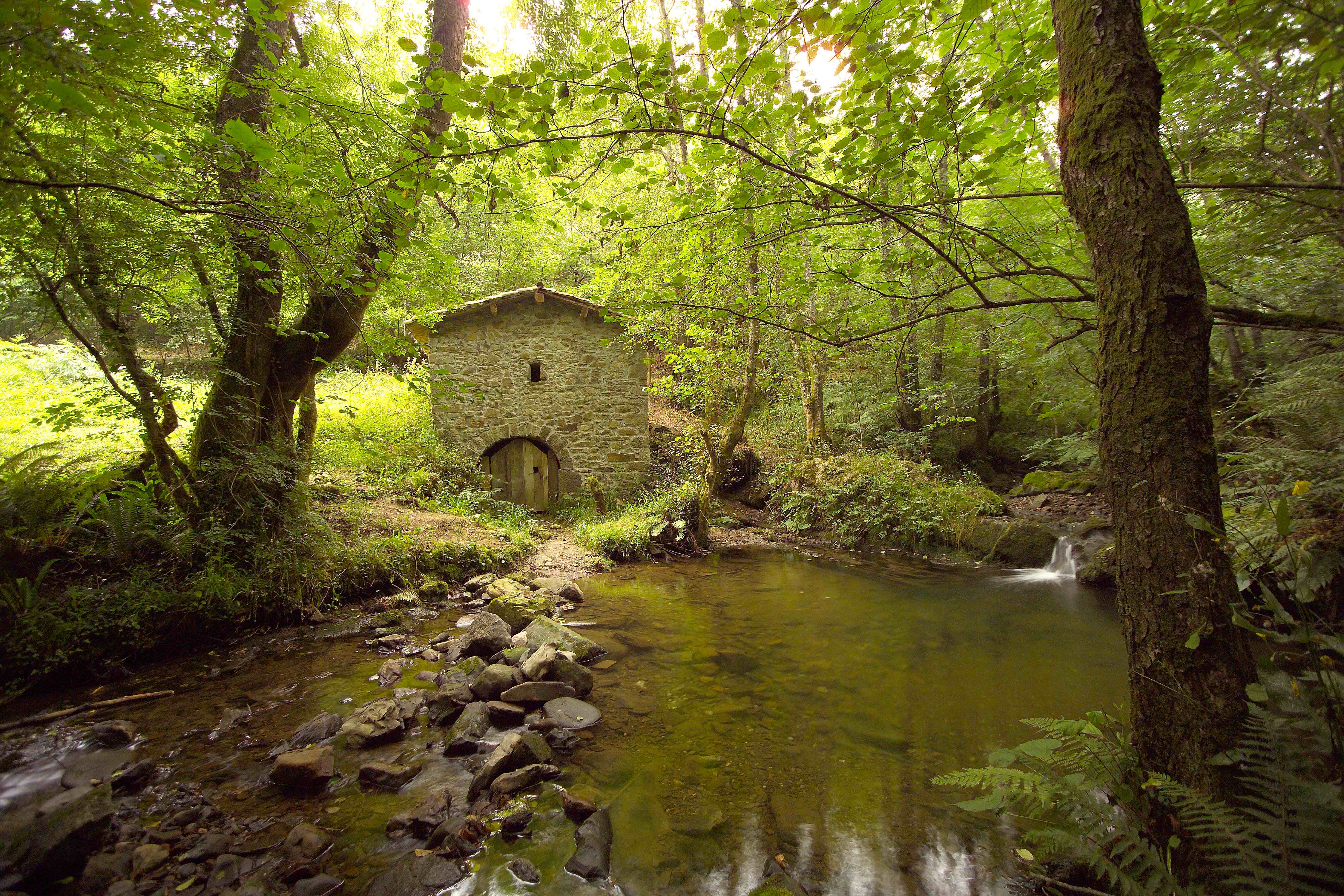 Senderismo en Bimenes: descubre los encantos de sus rutas naturales