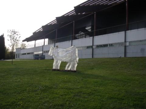 Palacio de los Niños, por Enma