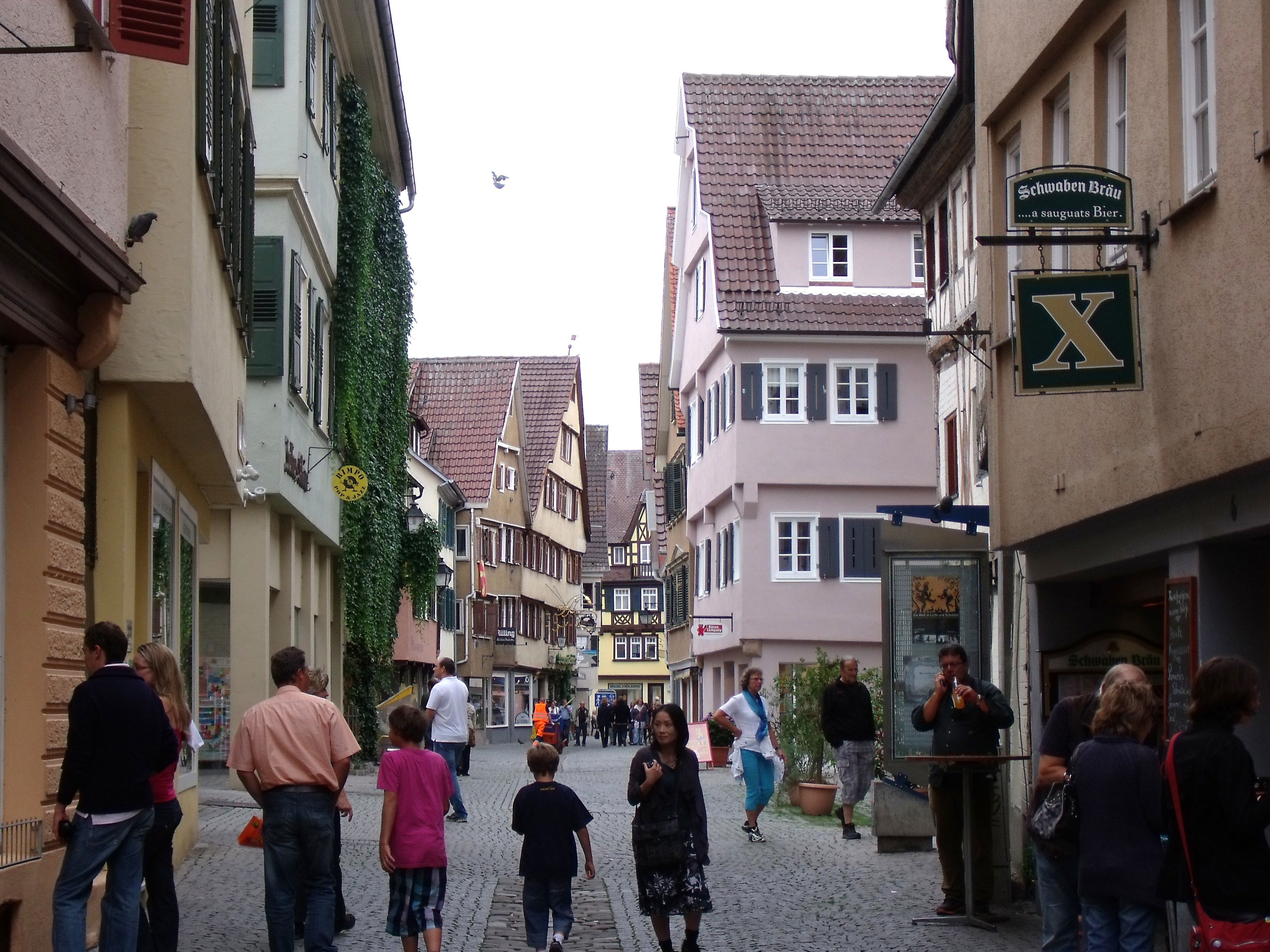 Rutas en Tübingen que despiertan la curiosidad del viajero