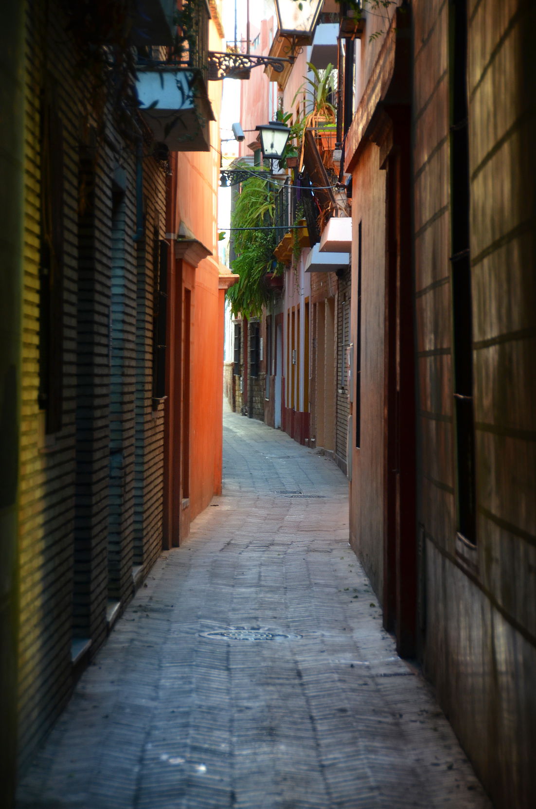 Calle Verde, por Miguel Egido