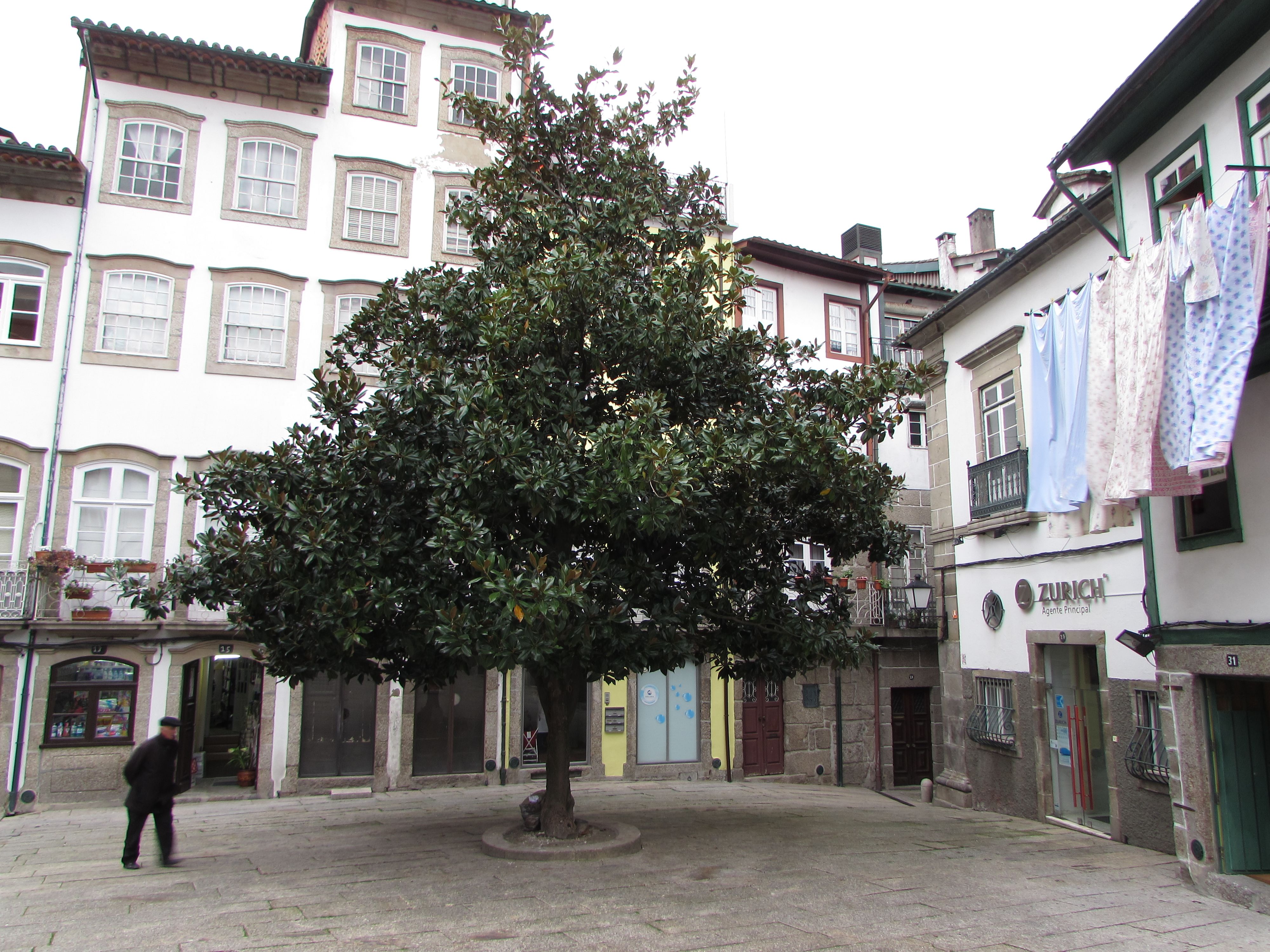 Plaza António Leite de Carvalho, por Helena Compadre