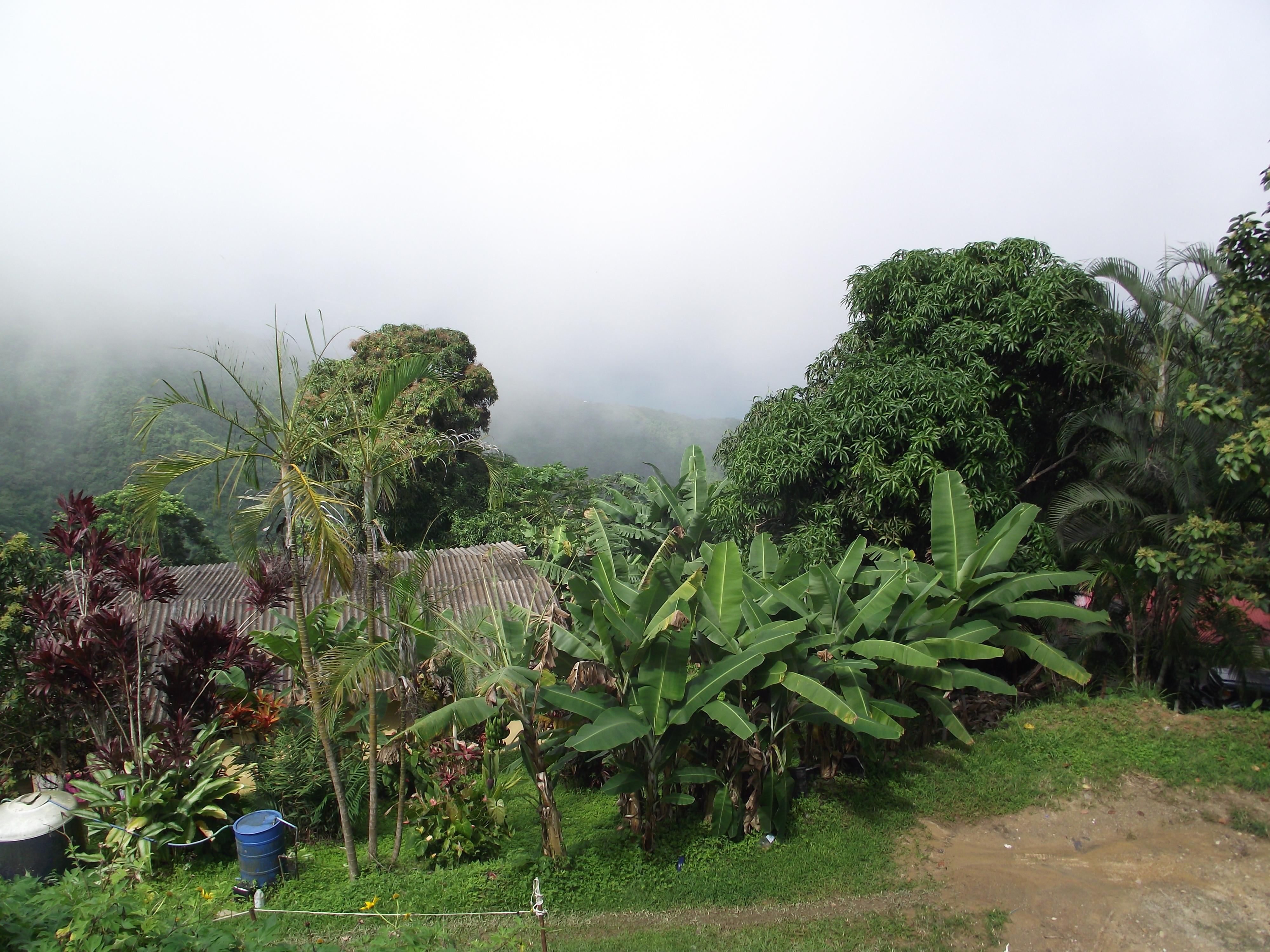 Museo de Arte Ecológico: El jardín de las Piedras Soñadoras, por Erika Paz