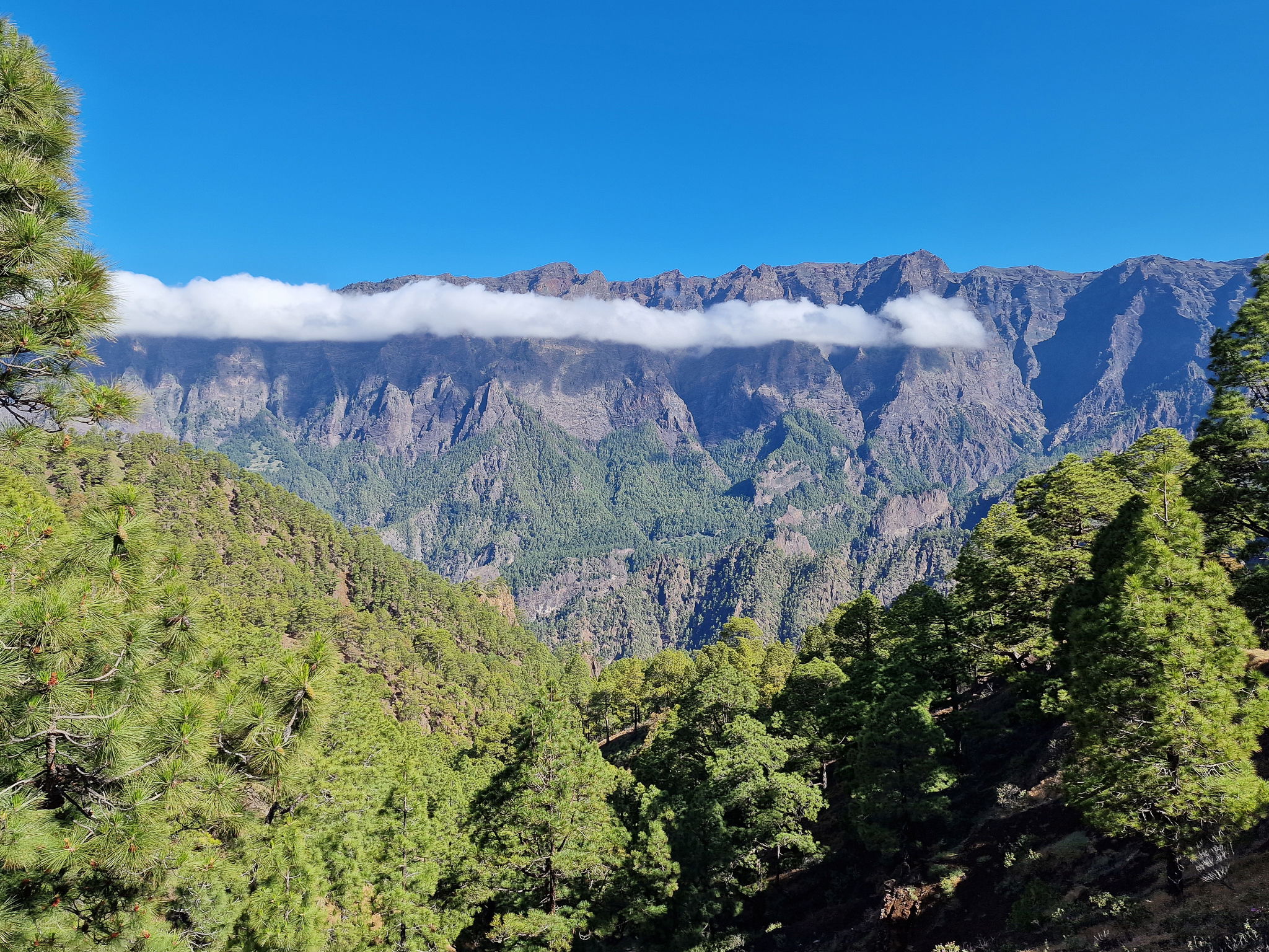 Los mejores rincones para hacer senderismo en La Palma