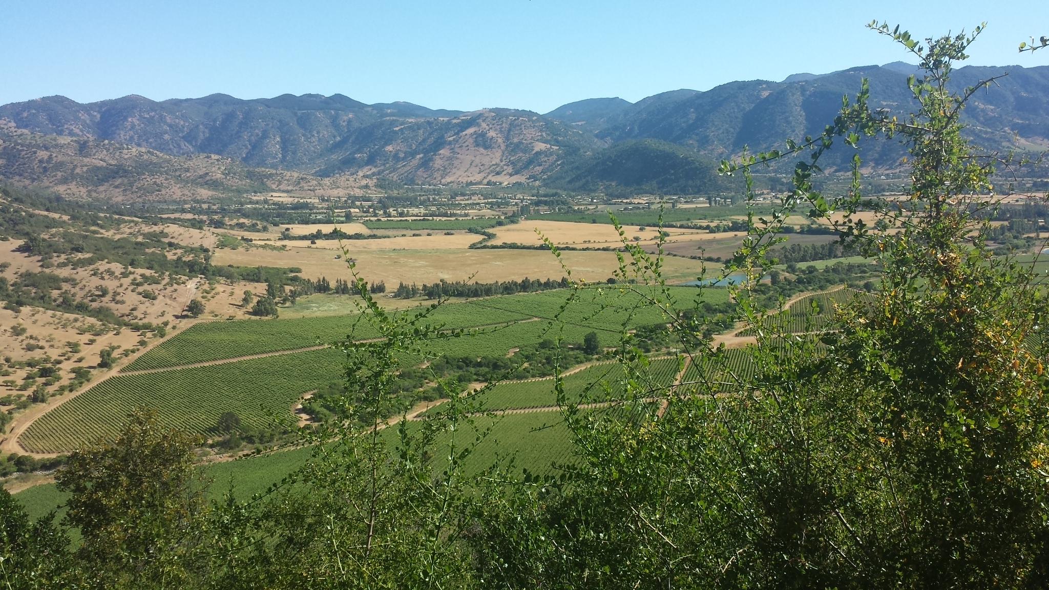 Ruta del Vino del Valle de Colchagua, por Alvaro Henry De Gregorio