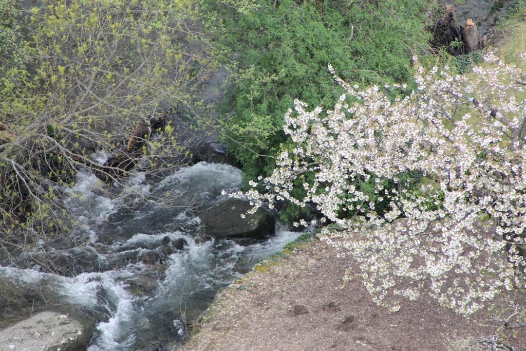 Ruta Sierra de Gredos y Valle del Jerte, por lunacandeleda