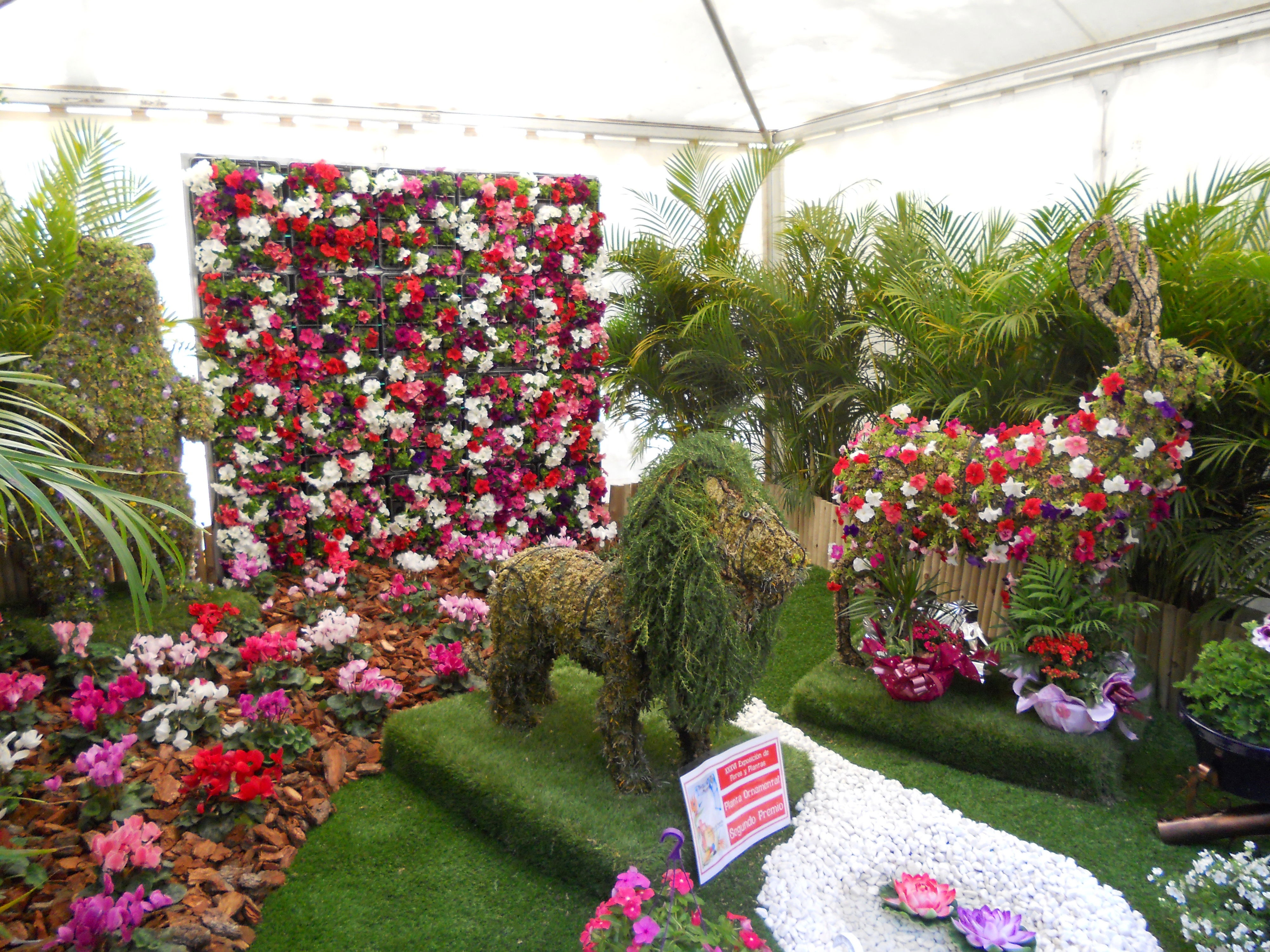 Exposición de flores y artesanía canaria, por Roberto Gonzalez