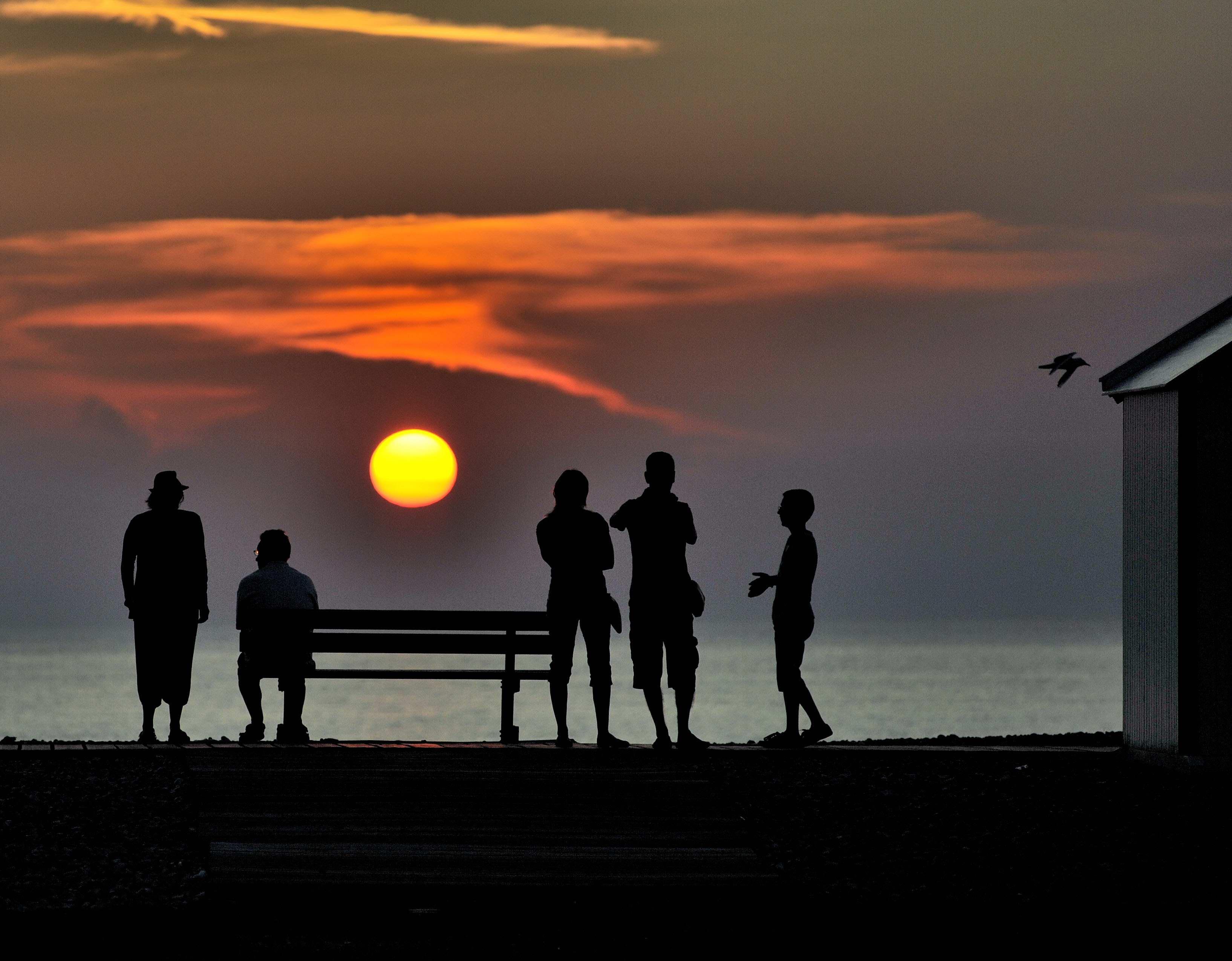 Cayeux, chemin des Planches, por David Delannoy