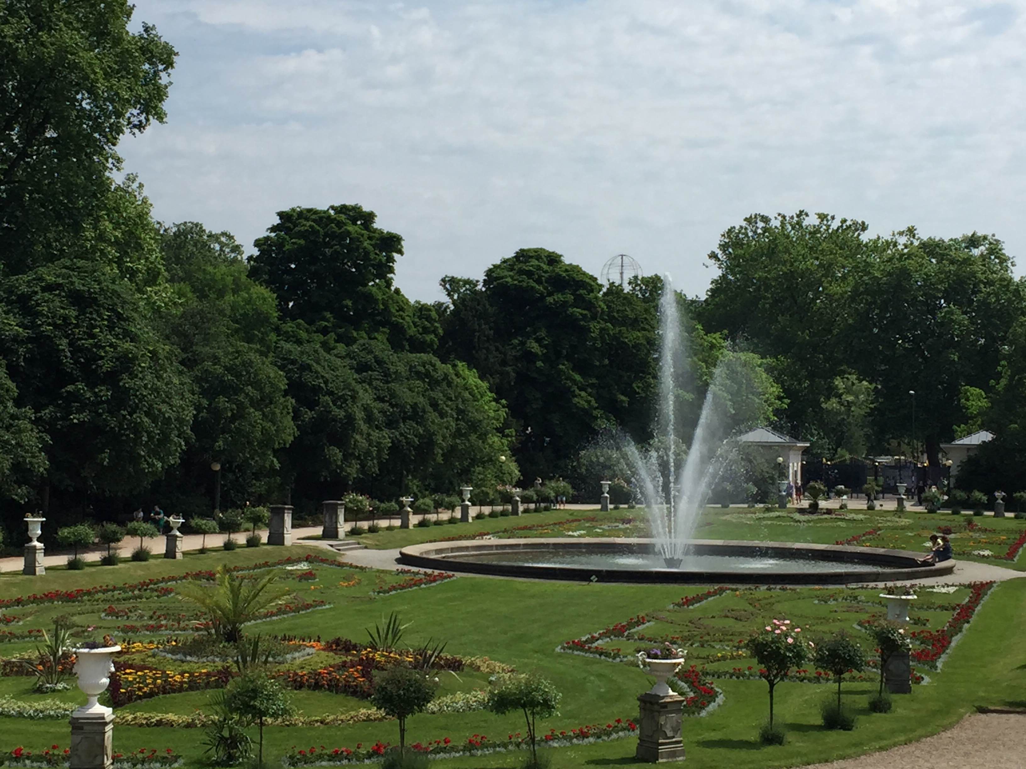 Jardín botánico, por Sandra Rosell