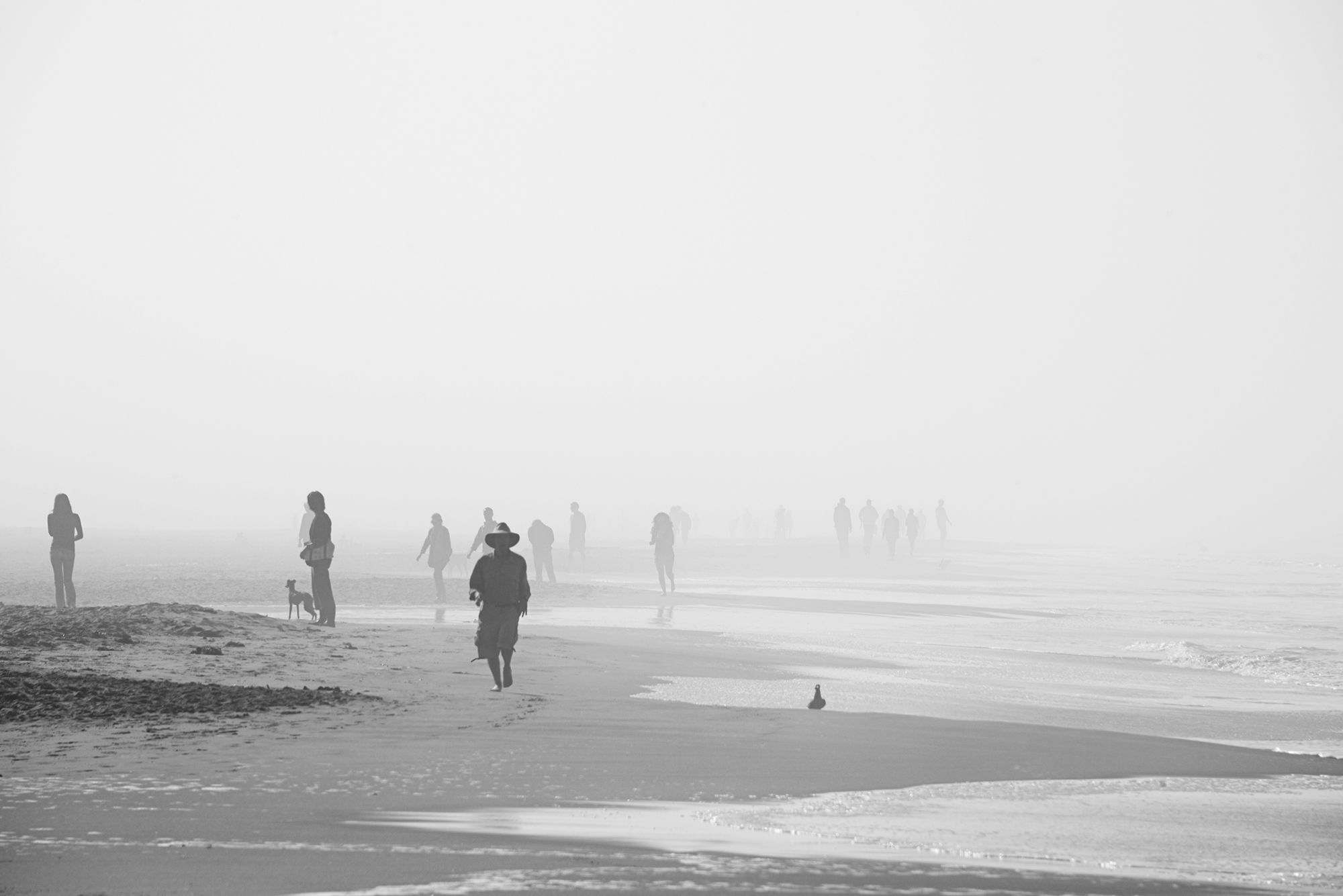 Ocean Beach, por Andres Garcia