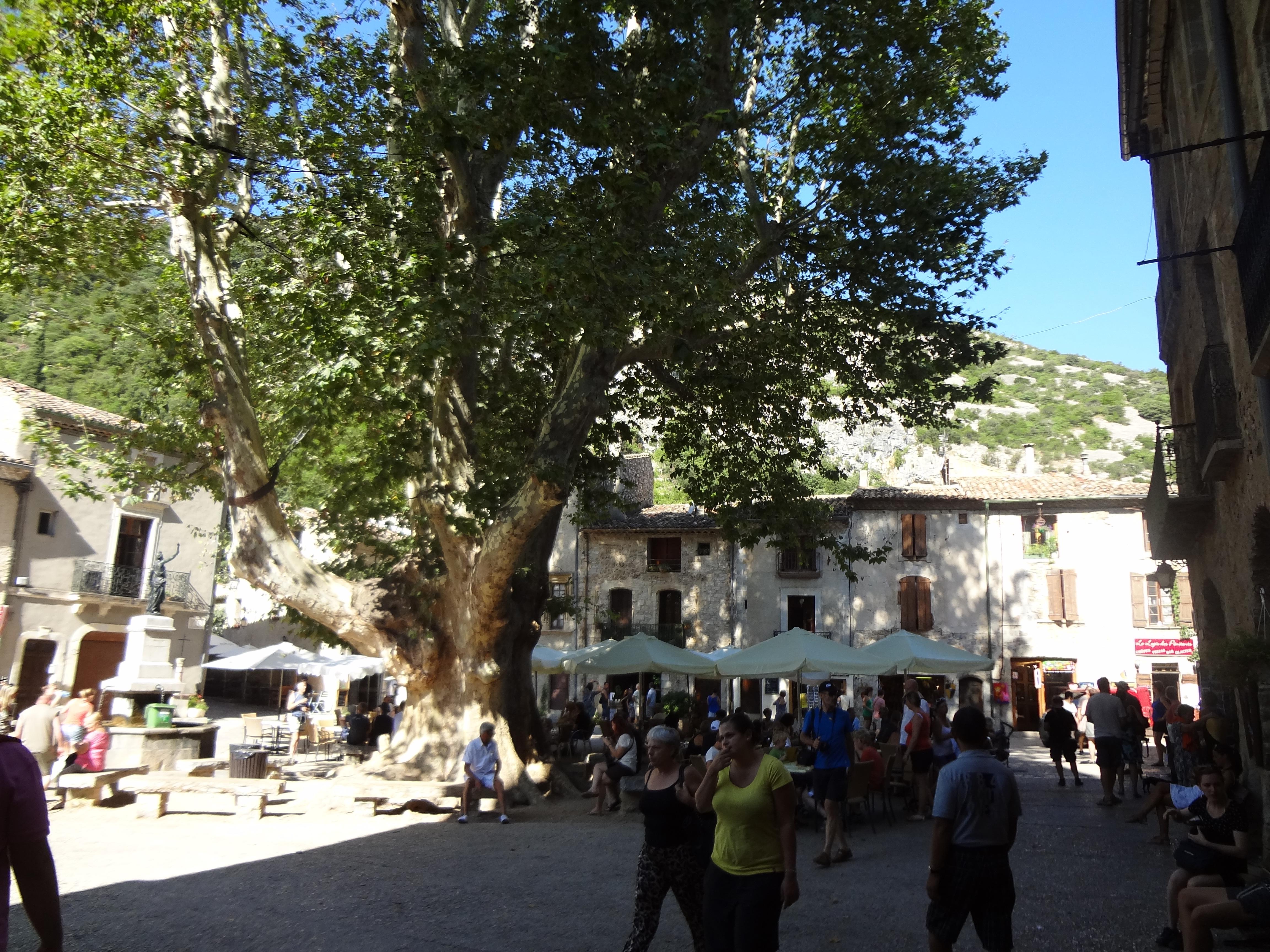 Plaza de la Libertad, por Coline