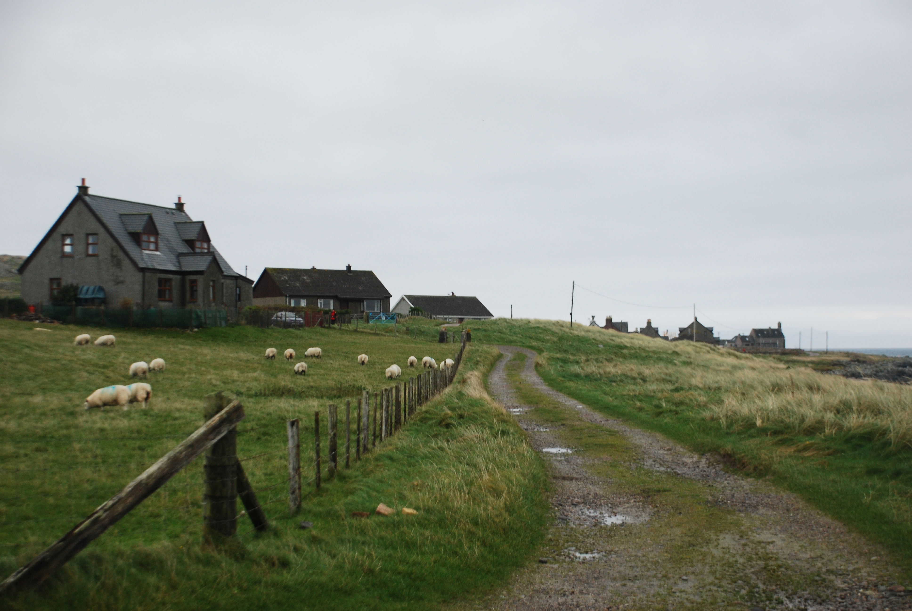 Isla de Iona, por eXplorador Escocés