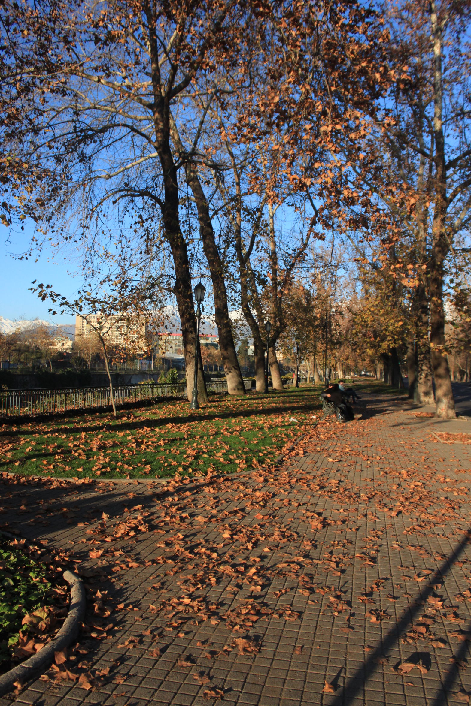 Parque Forestal, esquina Puente Loreto, por Henry Marcelo Gutierrez Acevedo