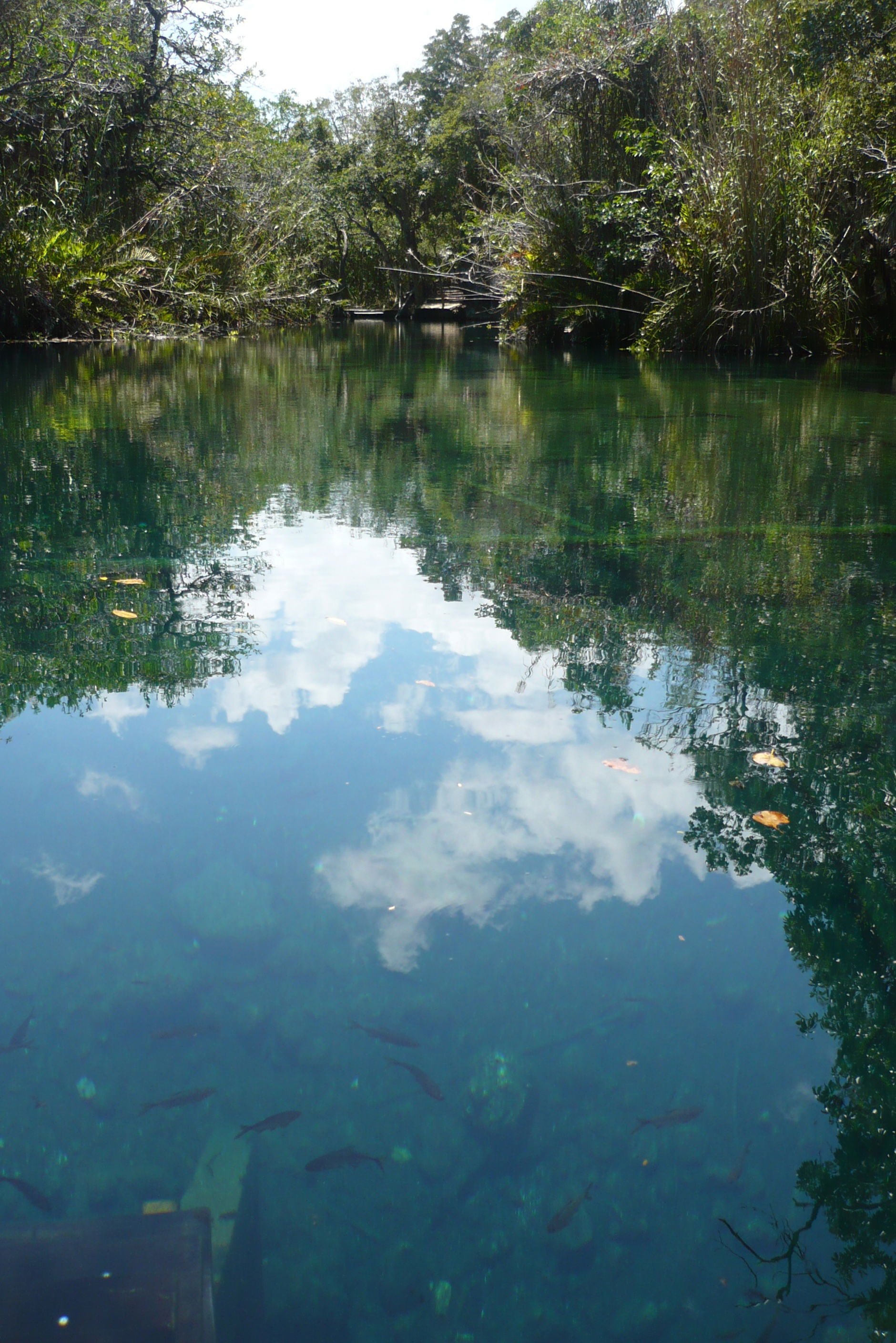 Cenote Angelita, por gaellita